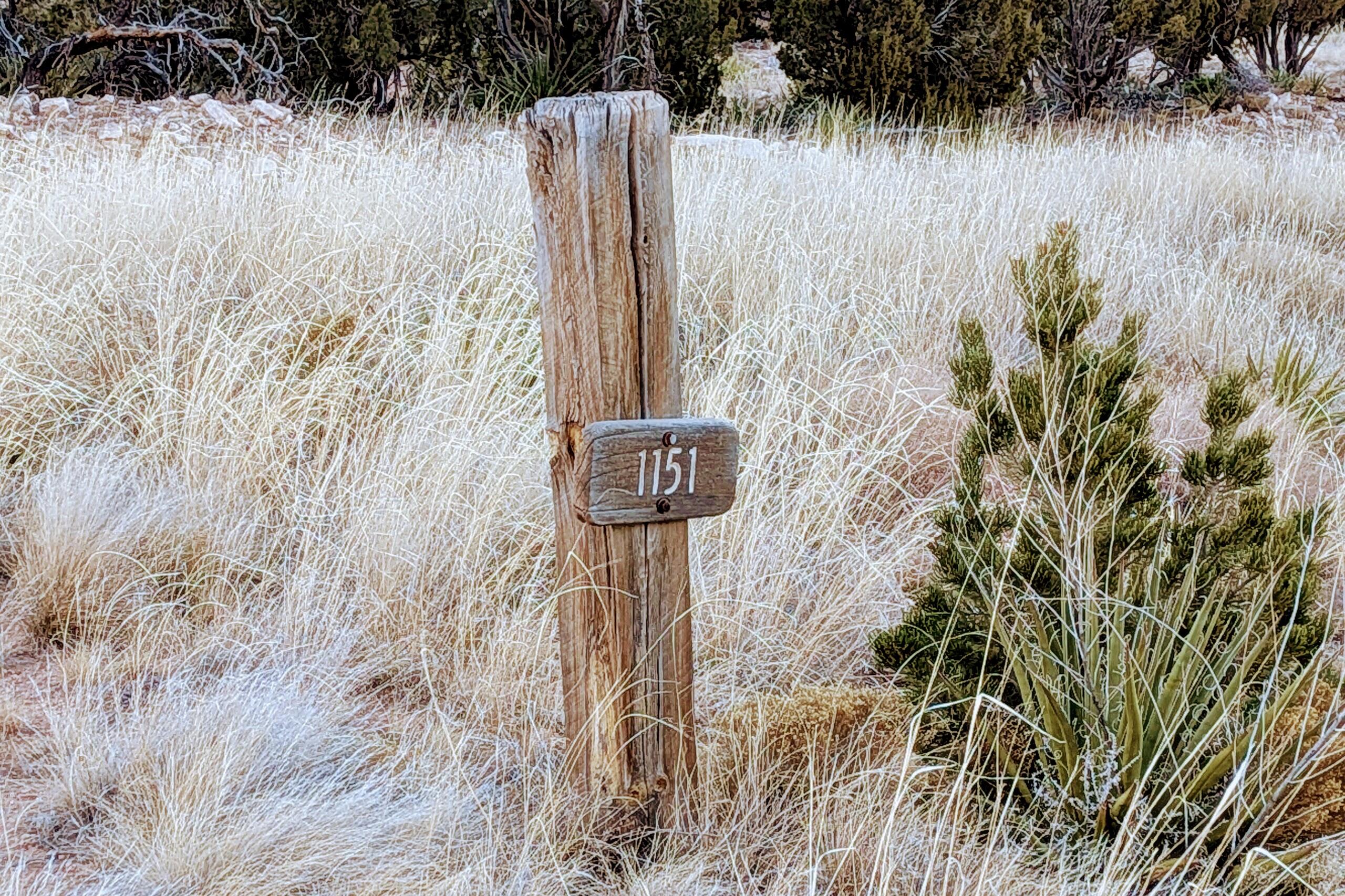 1151 Deer Canyon Trail