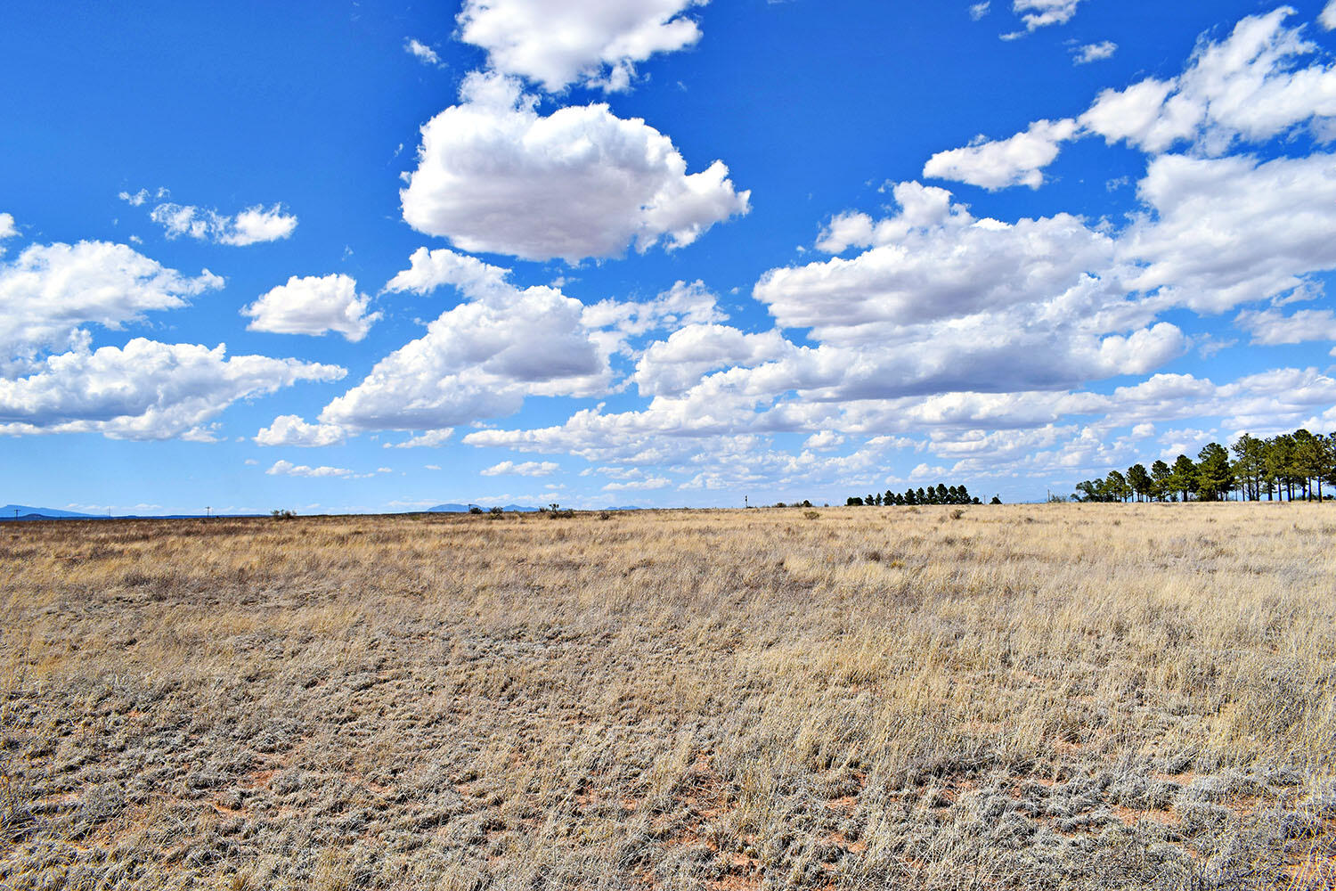 Lot 30-31 Sam Ford Drive