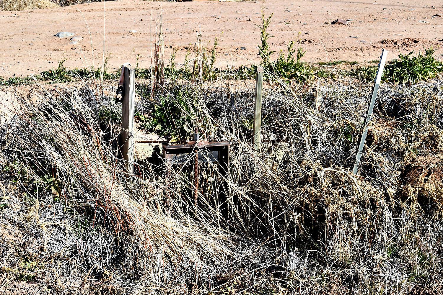 N Mesa Road