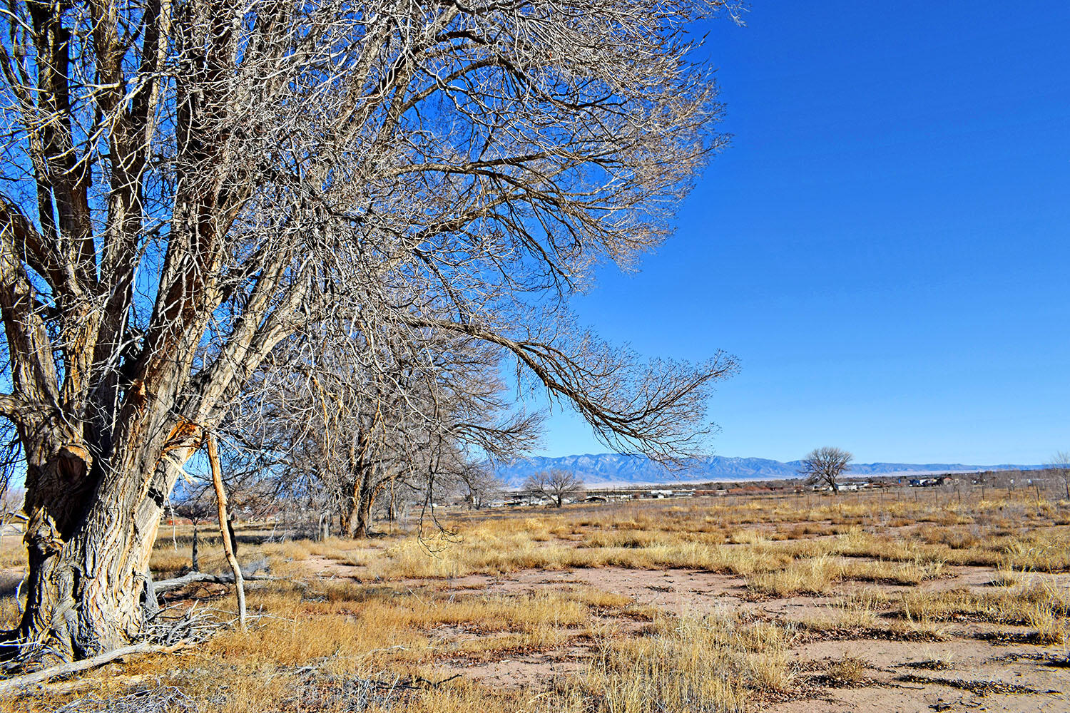 N Mesa Road