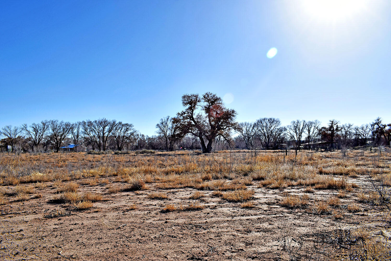 N Mesa Road