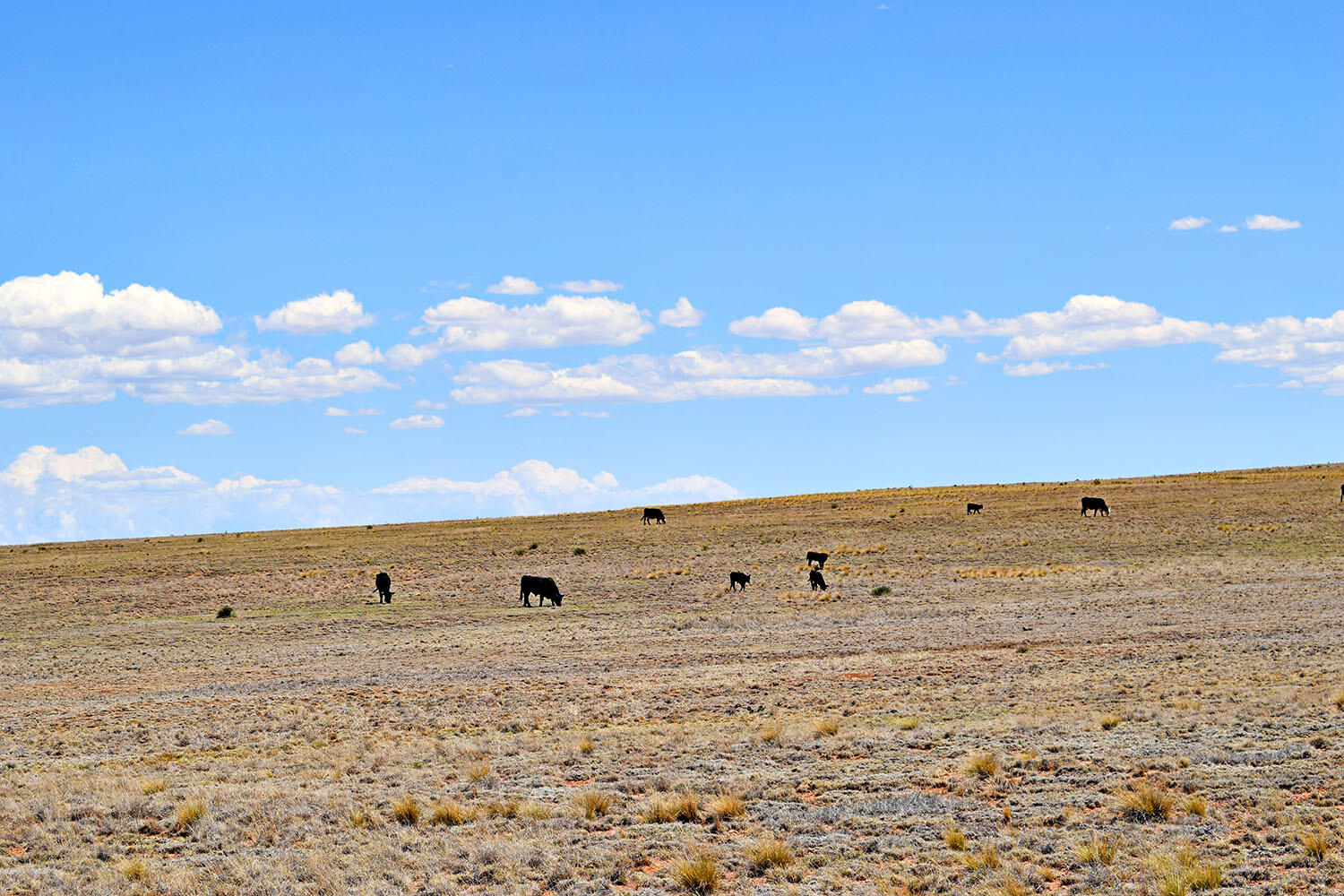 Tract B-R New Mexico 55