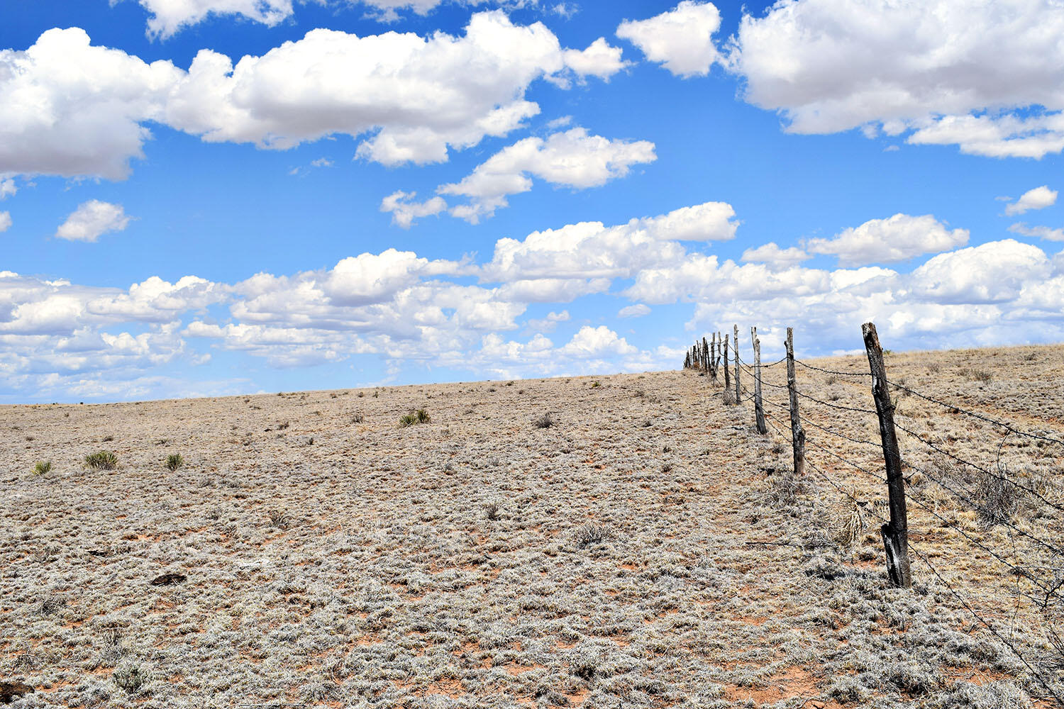 Tract B-R New Mexico 55
