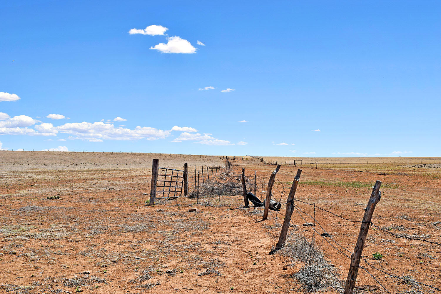 Tract B-R New Mexico 55