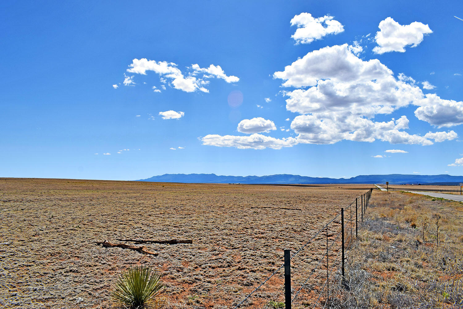 Tract B-R New Mexico 55