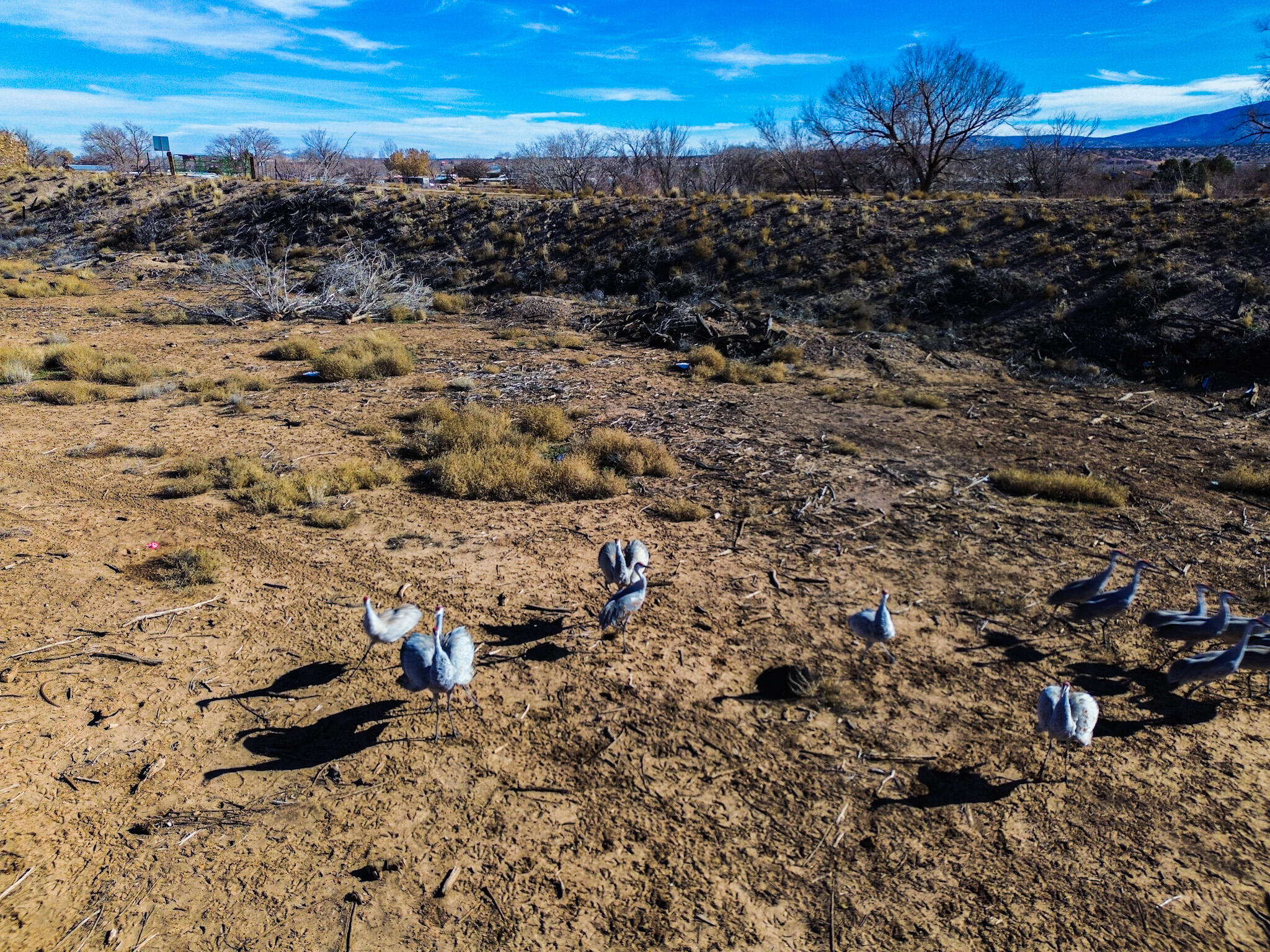 1114 W Avenida Los Suenos