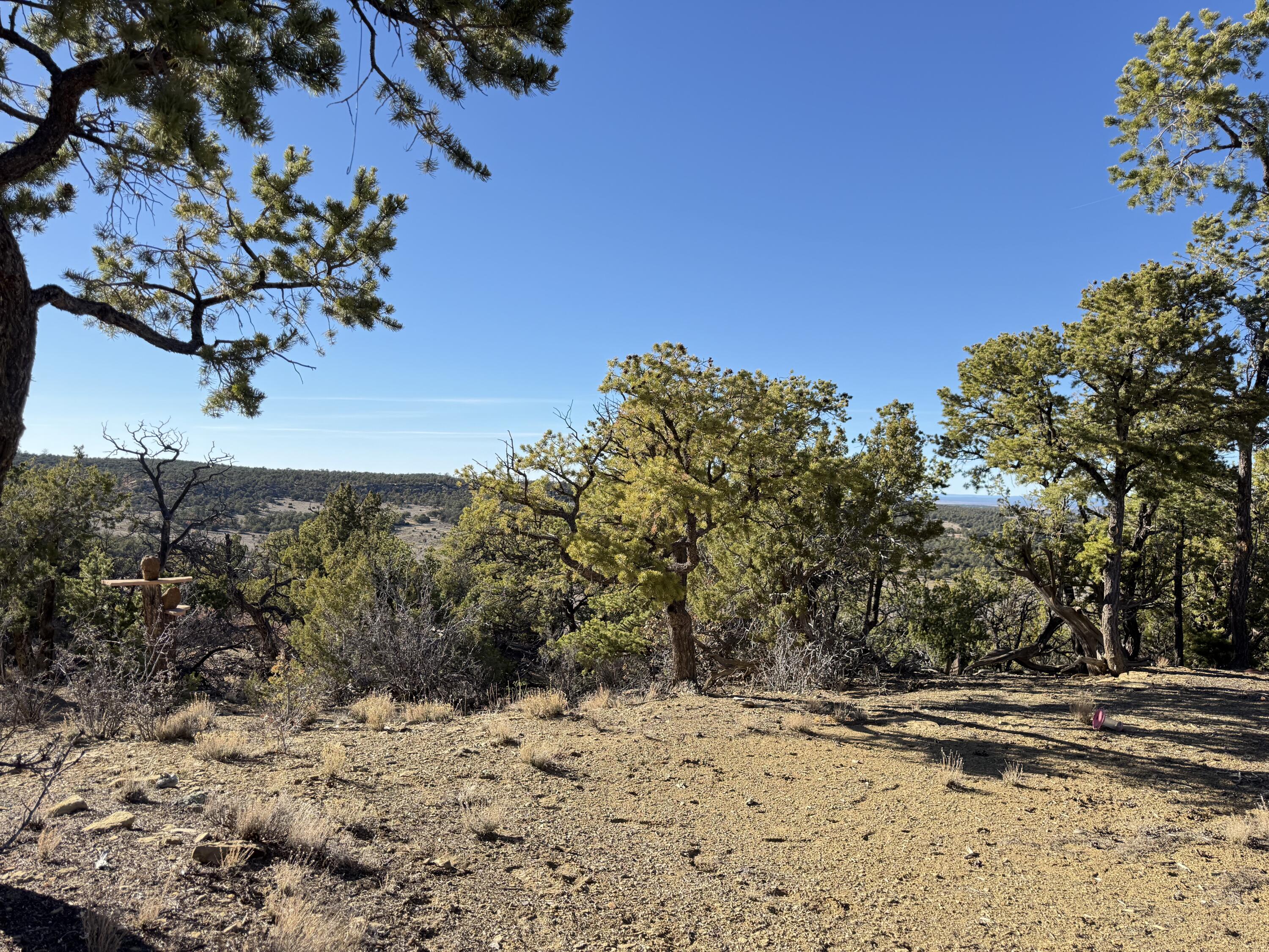 101 Chuck Wagon Lane