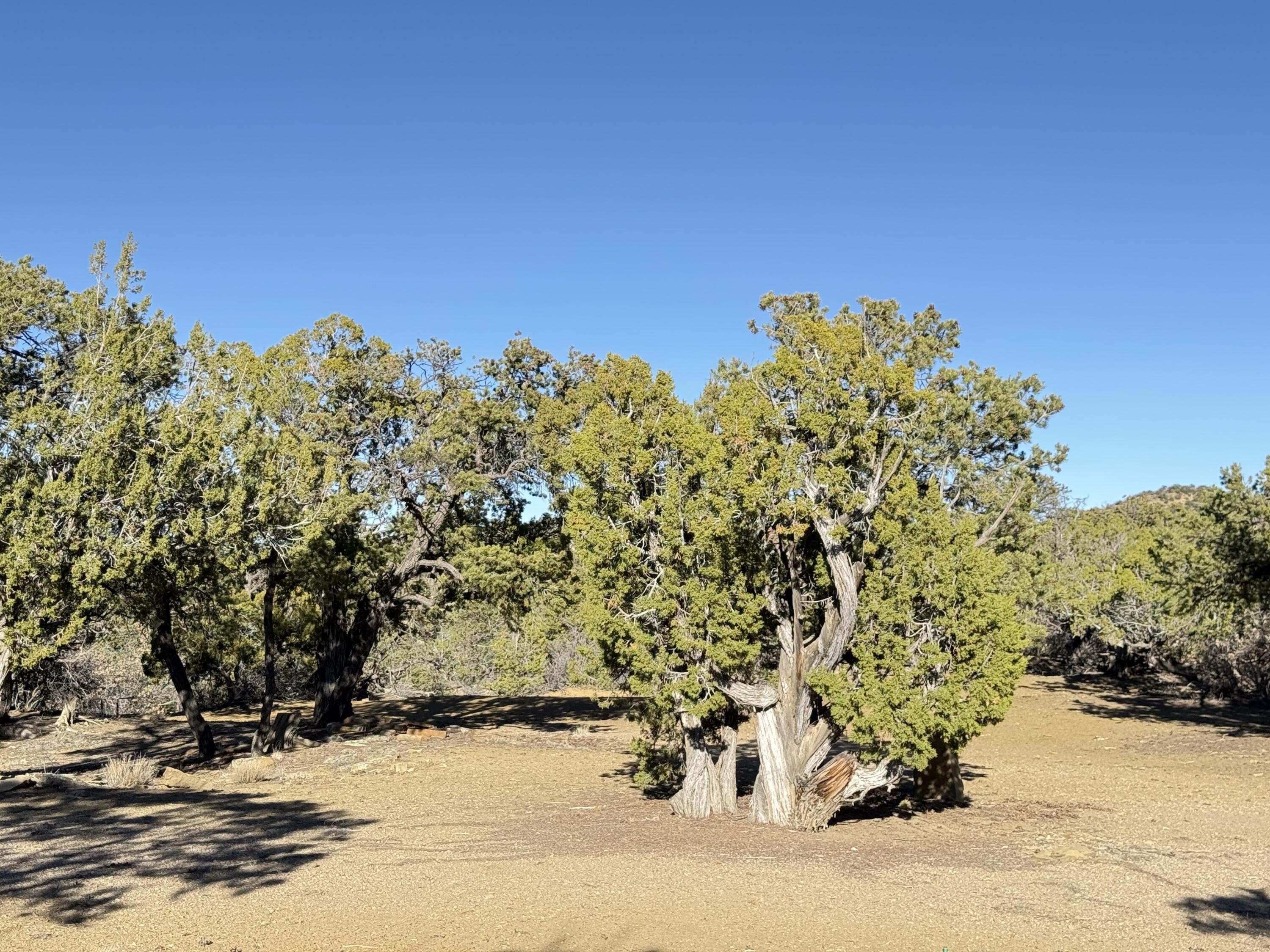 101 Chuck Wagon Lane