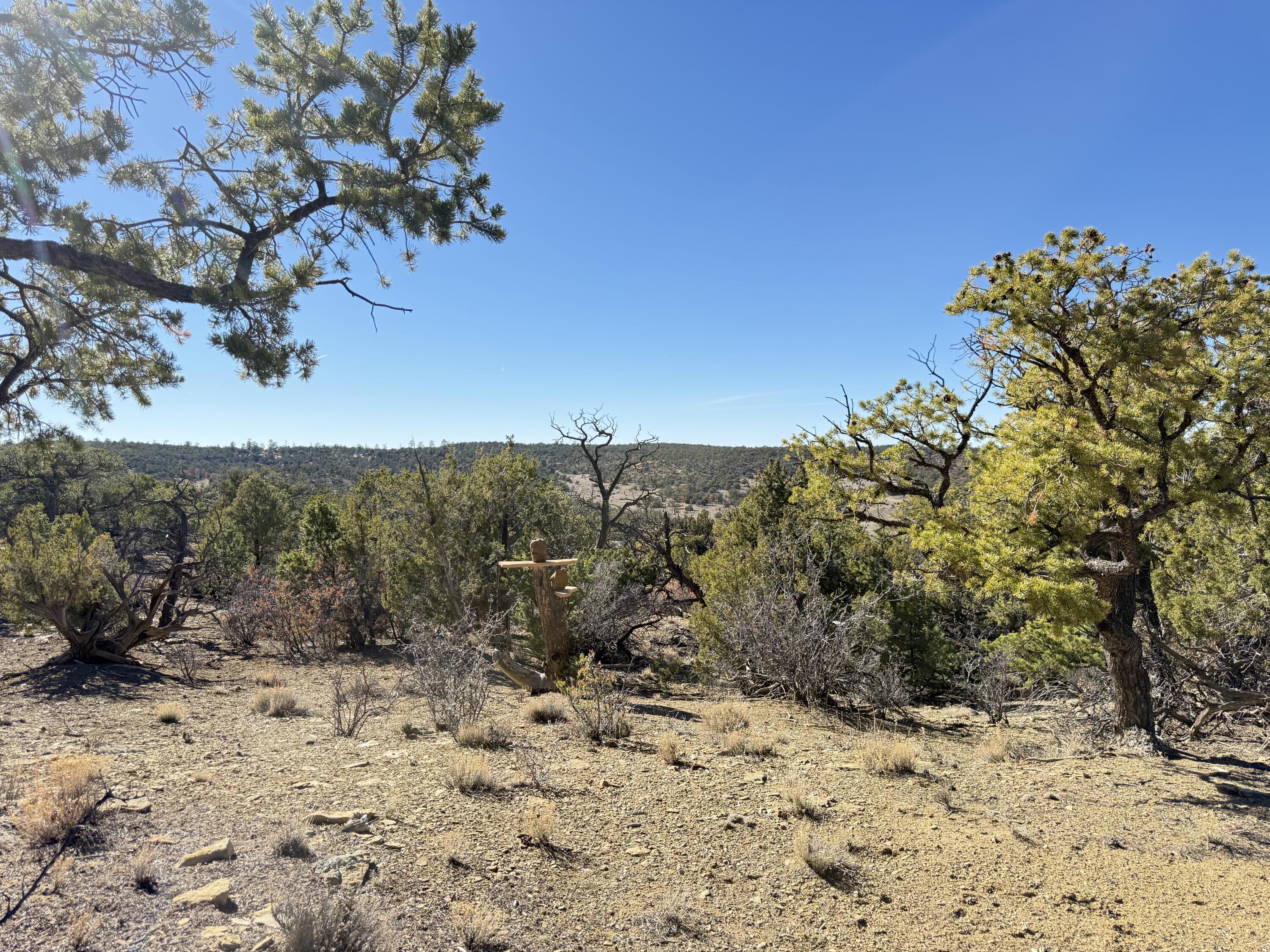 101 Chuck Wagon Lane