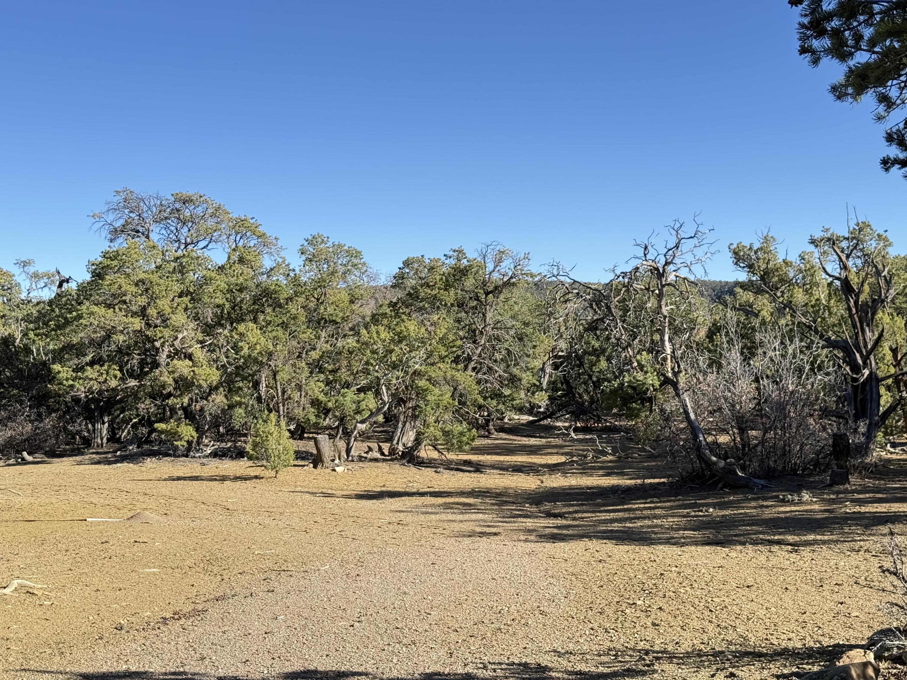 101 Chuck Wagon Lane