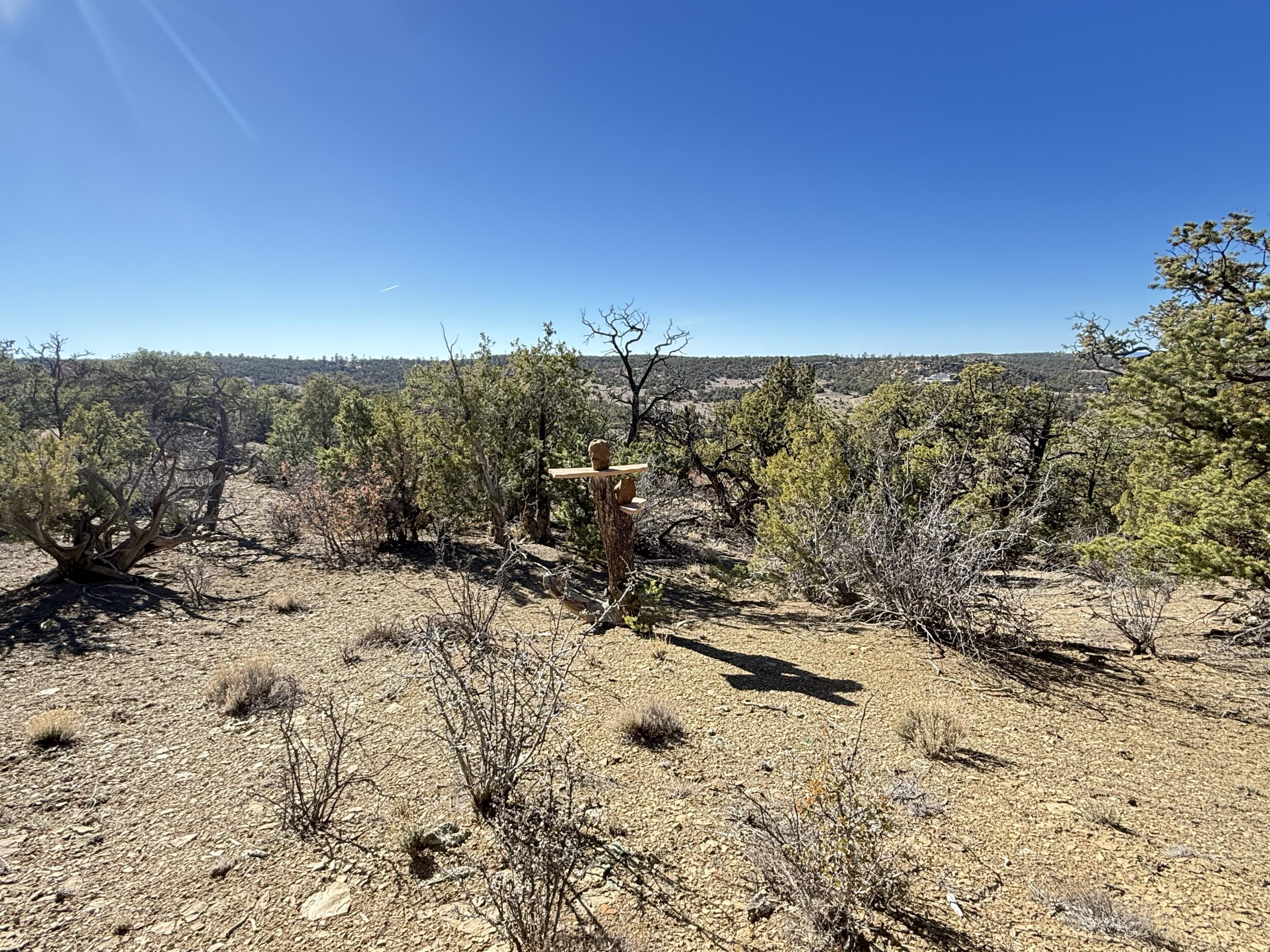 101 Chuck Wagon Lane