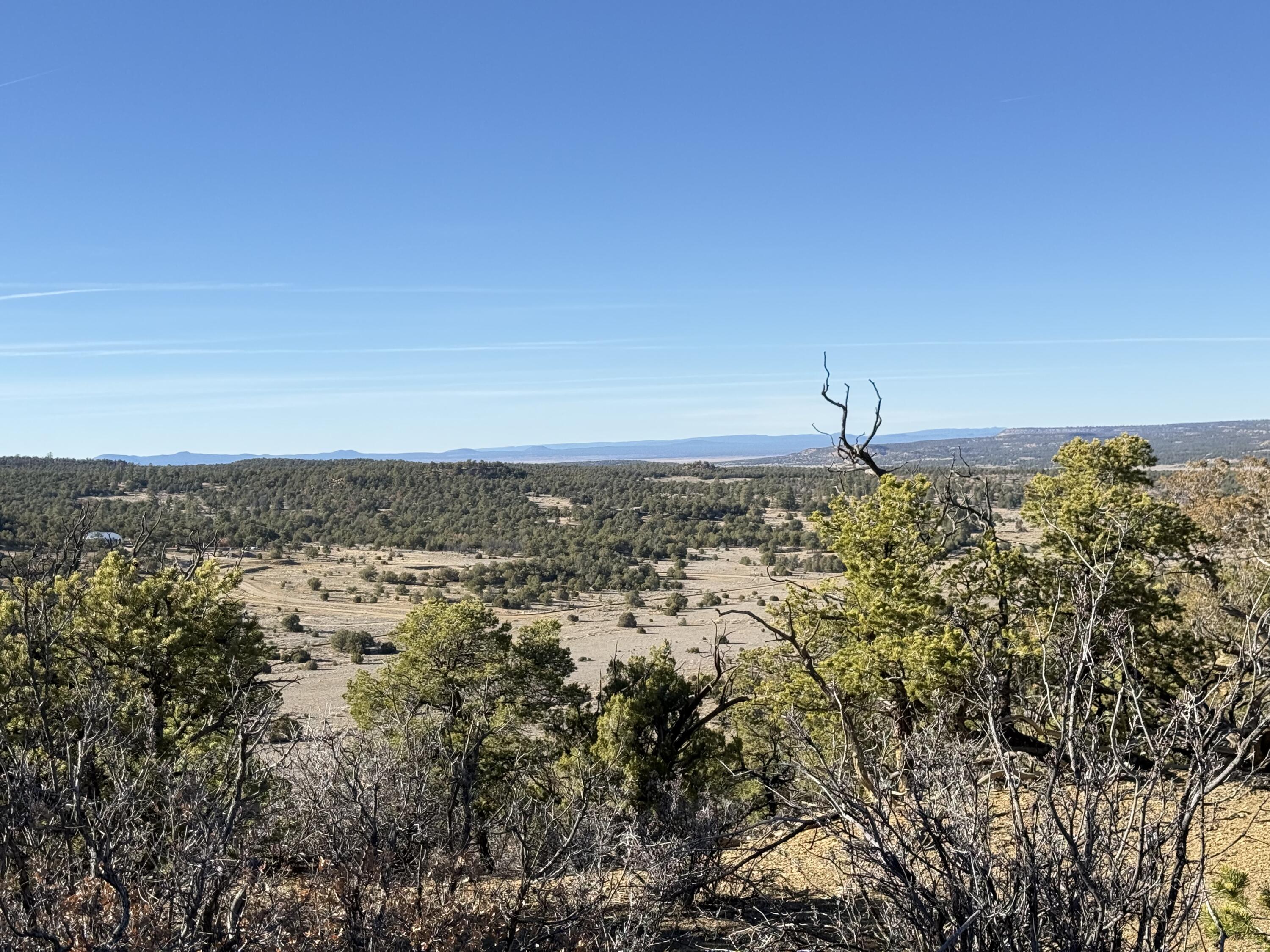 101 Chuck Wagon Lane