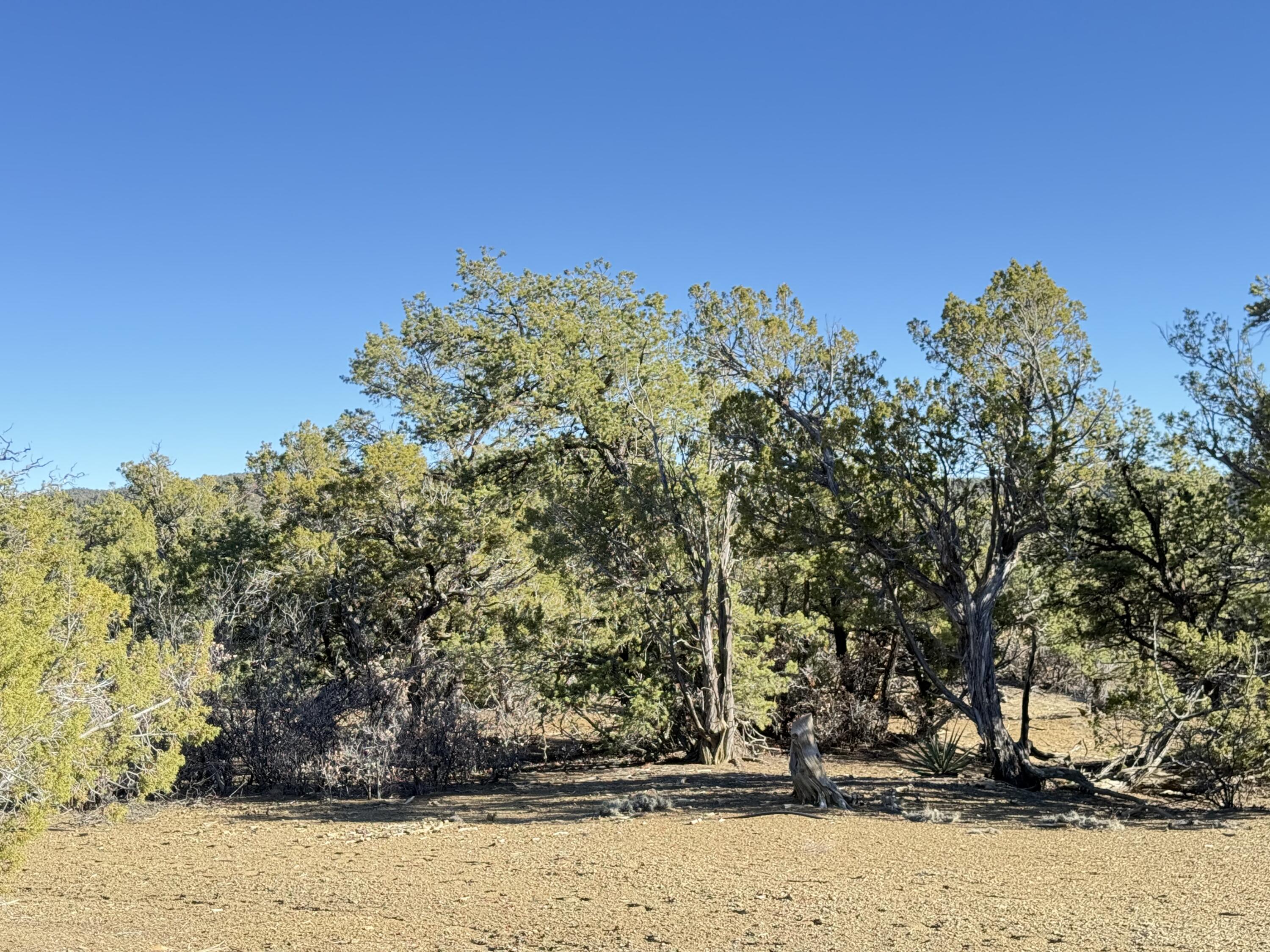 101 Chuck Wagon Lane