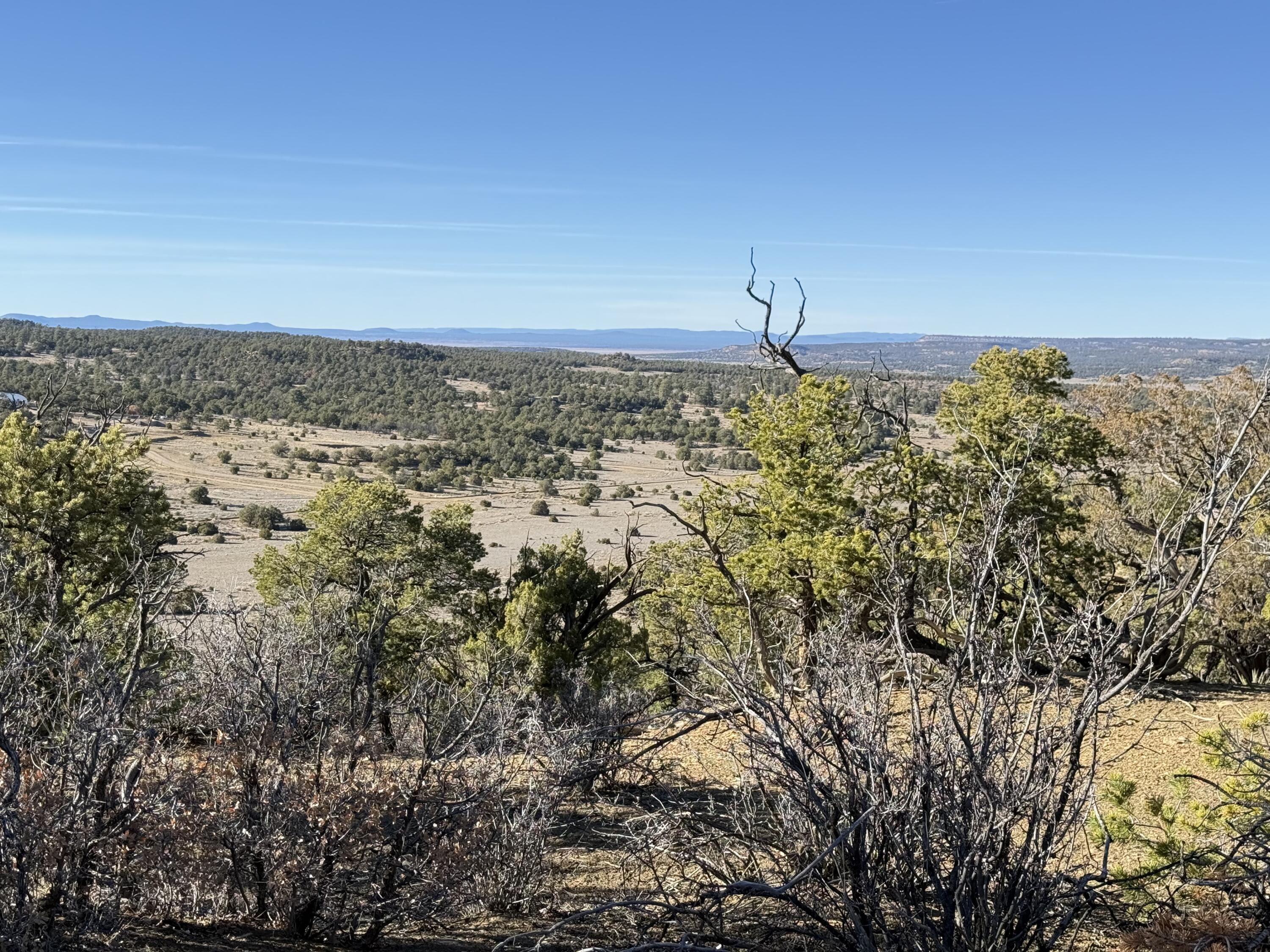 101 Chuck Wagon Lane