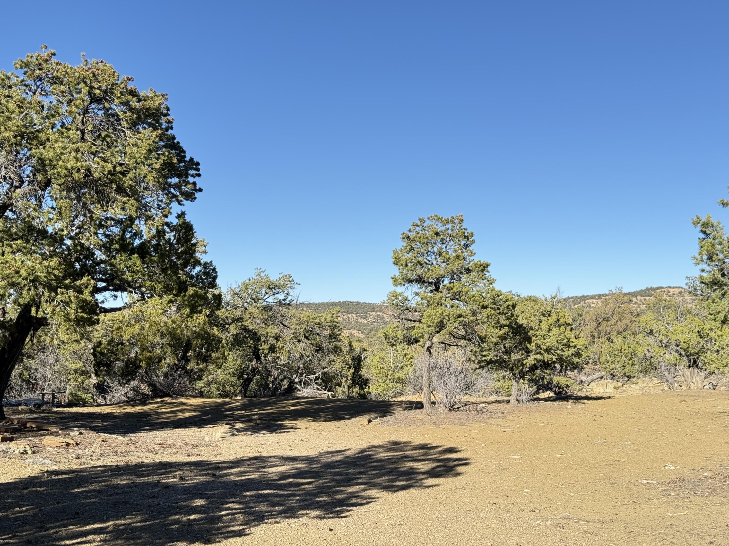 101 Chuck Wagon Lane