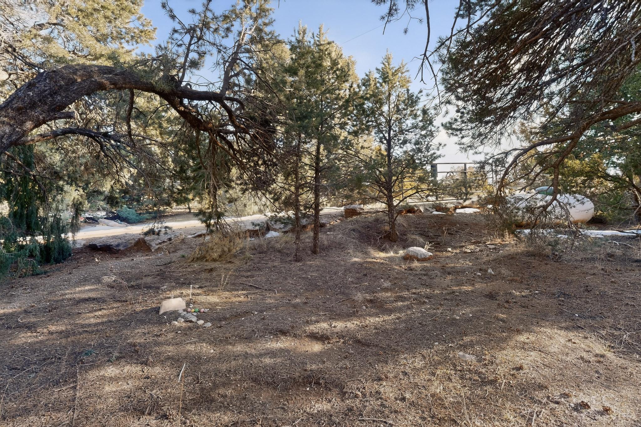 279 Sedillo Road