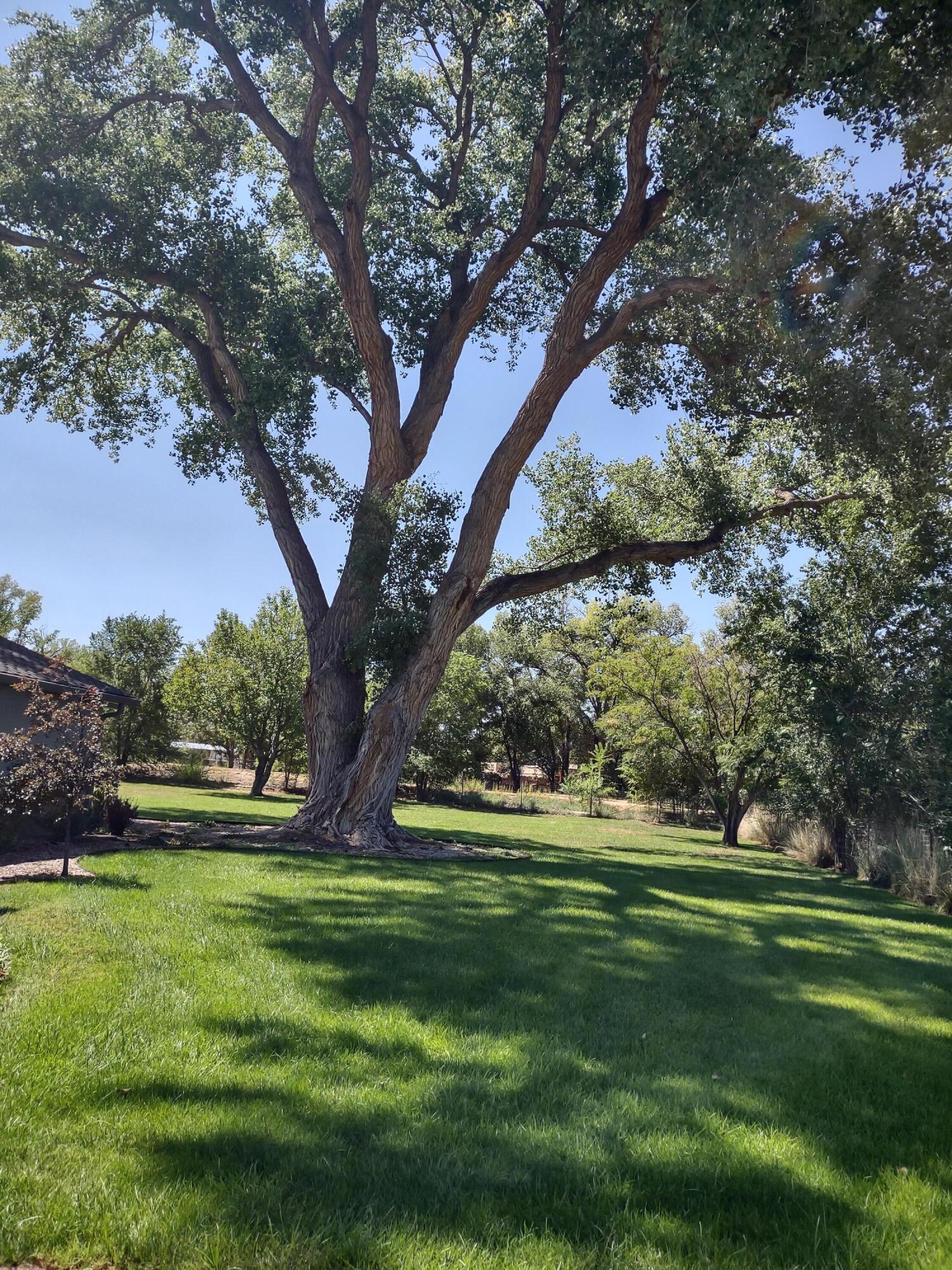 13 Park Lane Circle