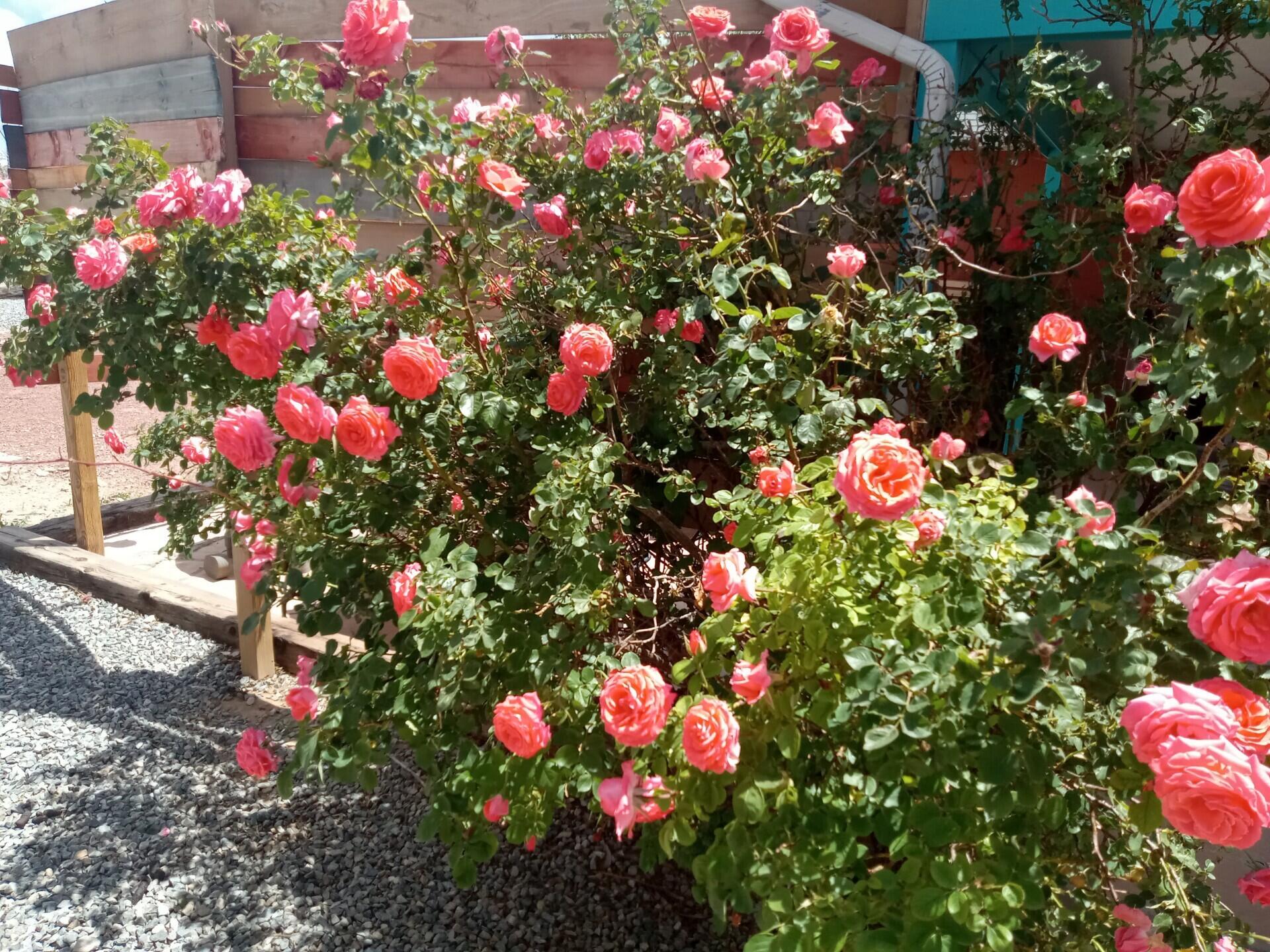 7417 Mackenzie Drive NE