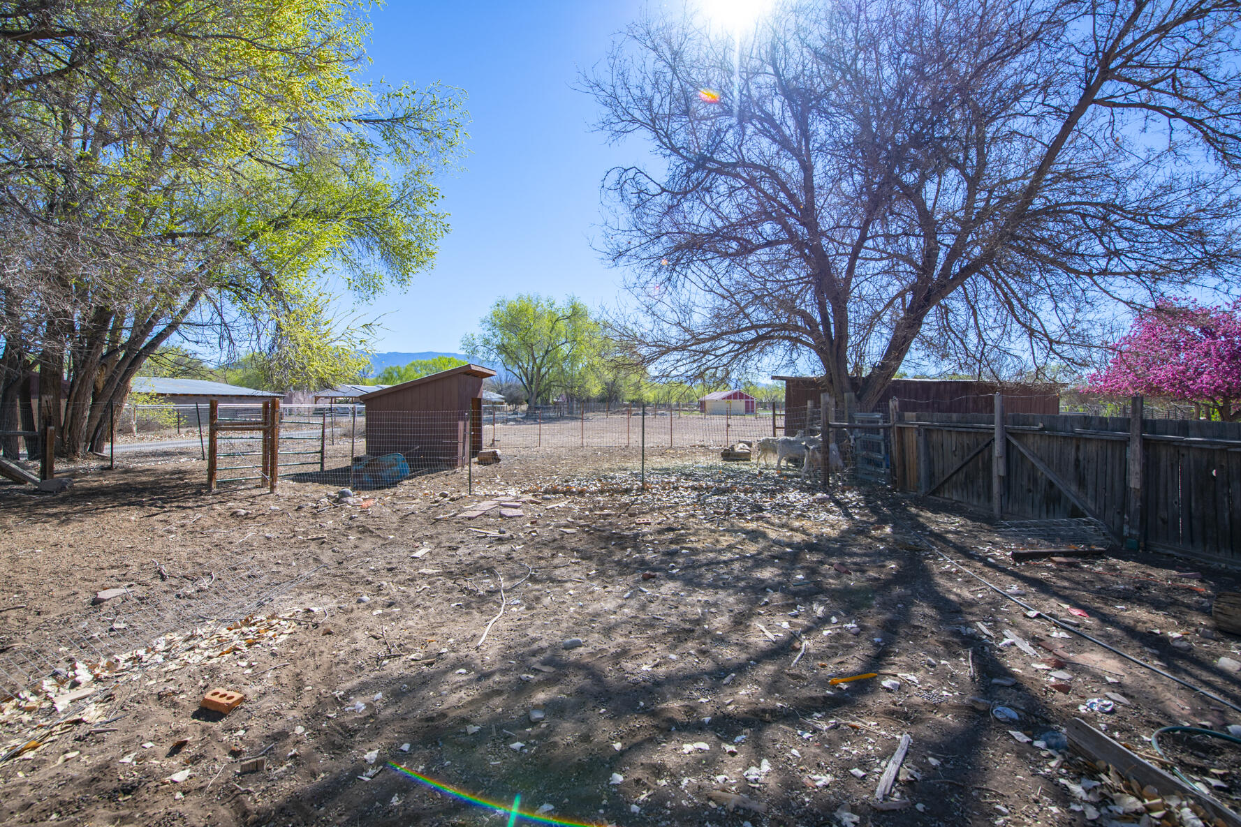 350 Applewood Road
