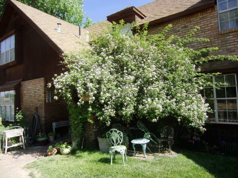 350 Applewood Road
