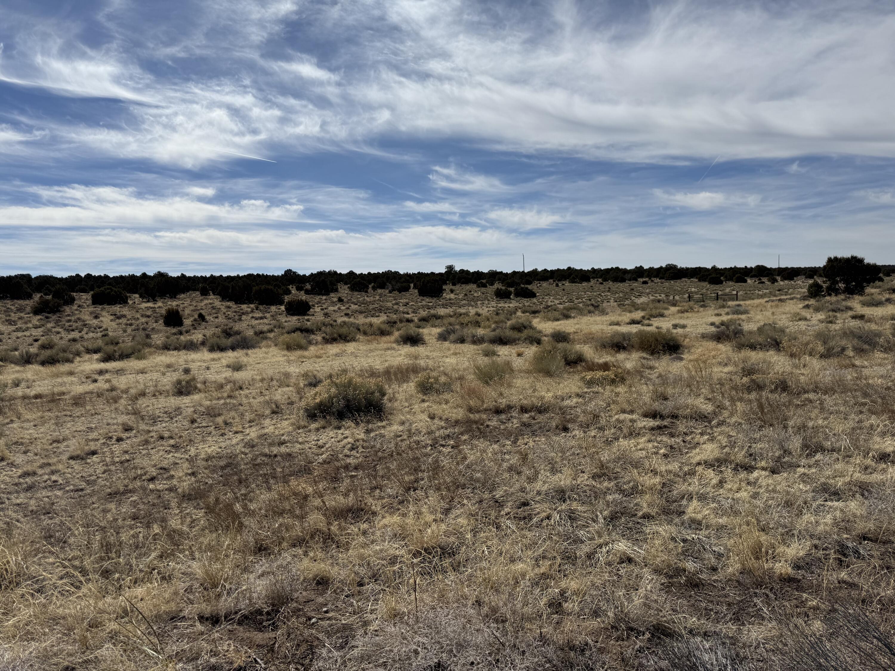 519 Highway 603