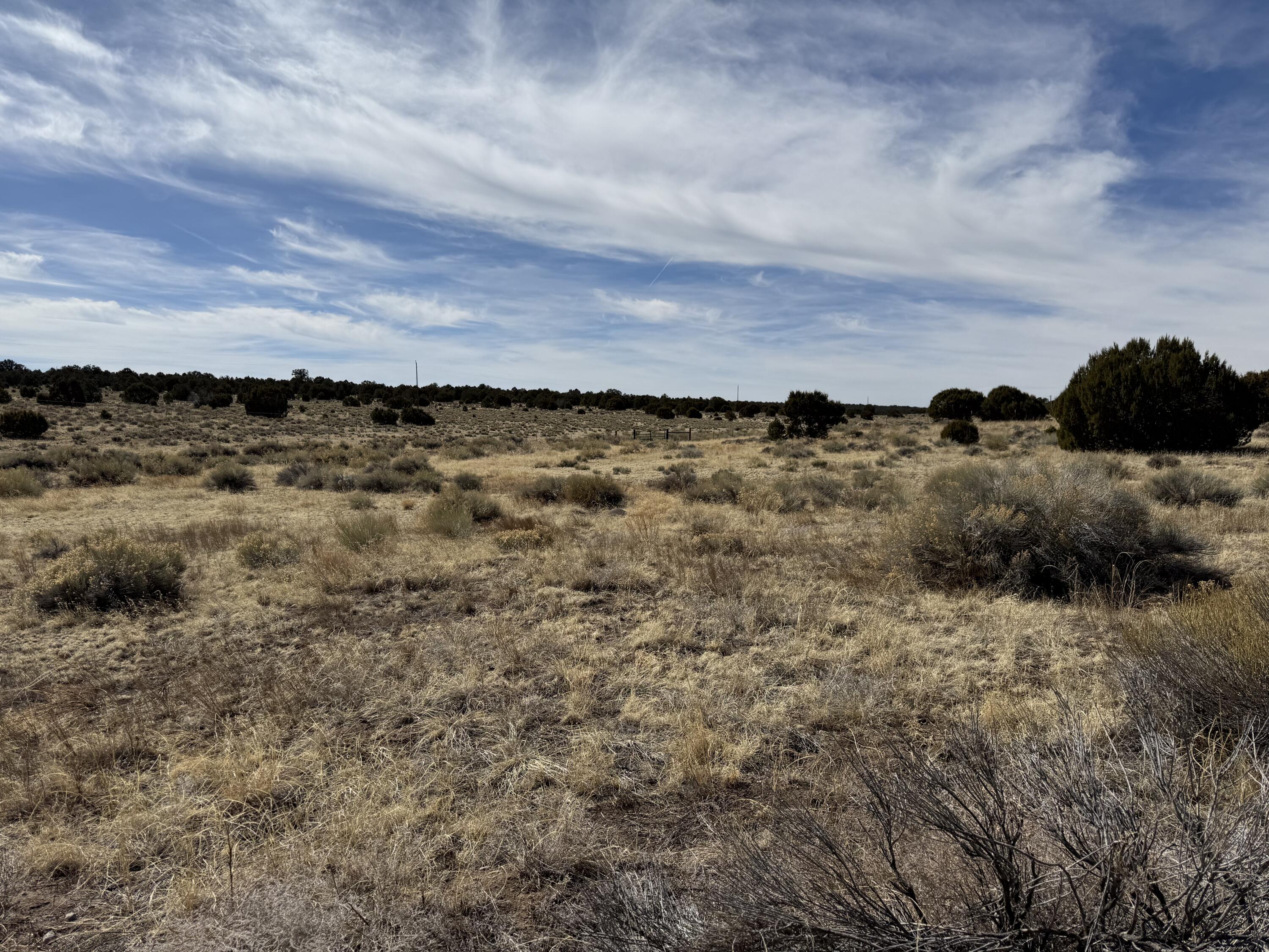 519 Highway 603