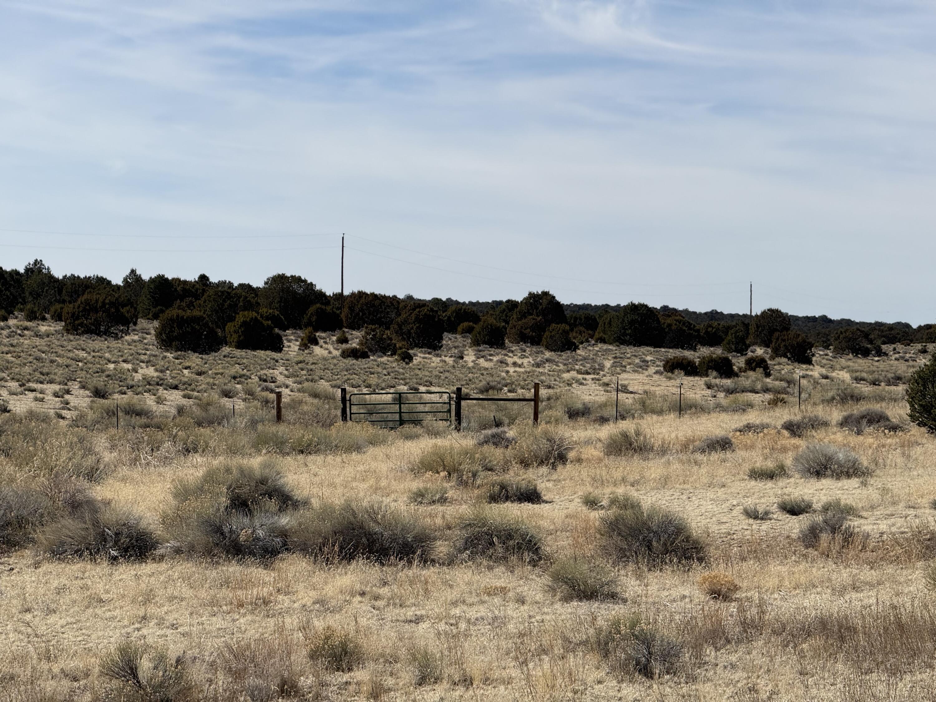 519 Highway 603