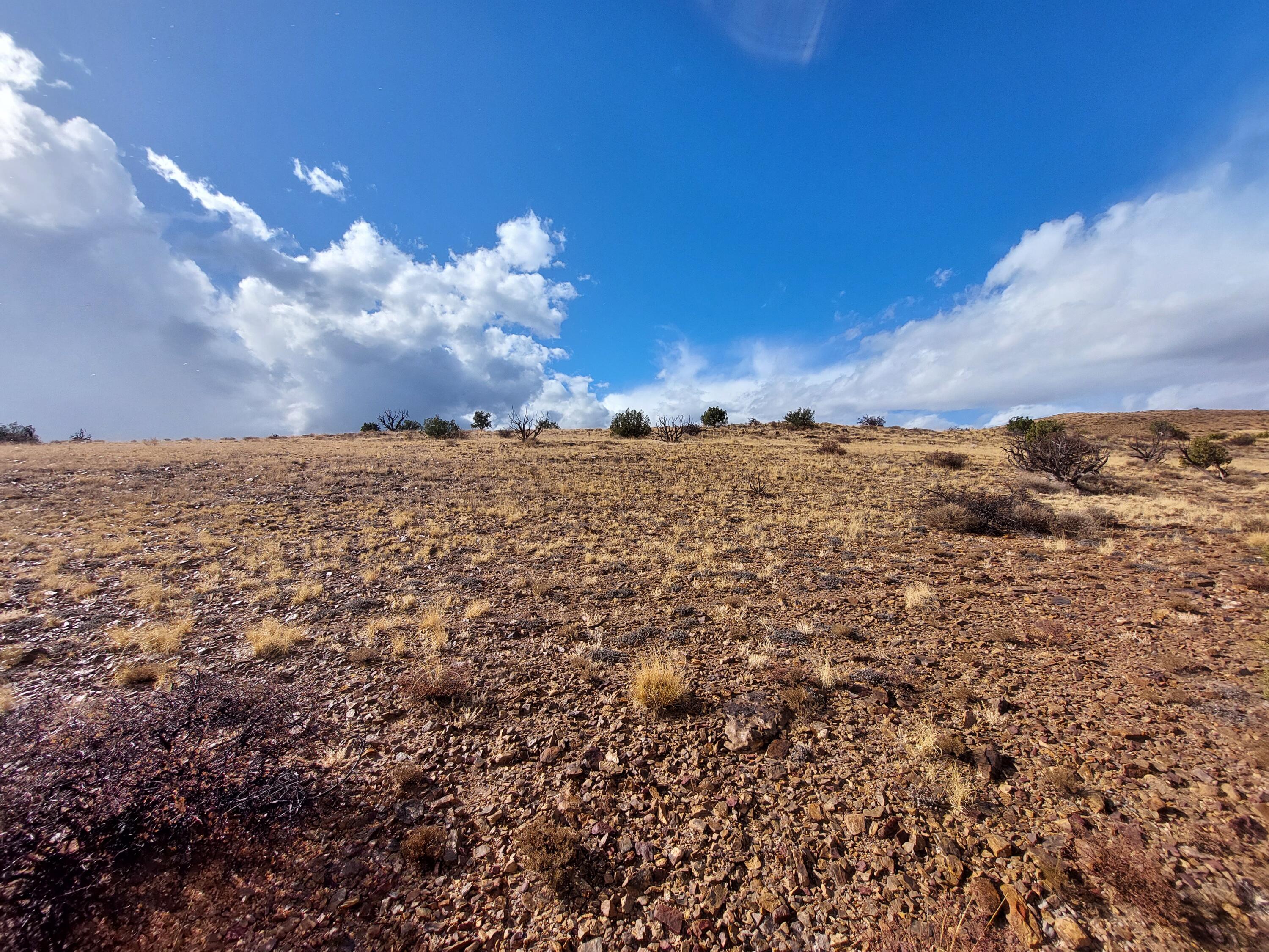 Lot 48 Santa Rita Ranches