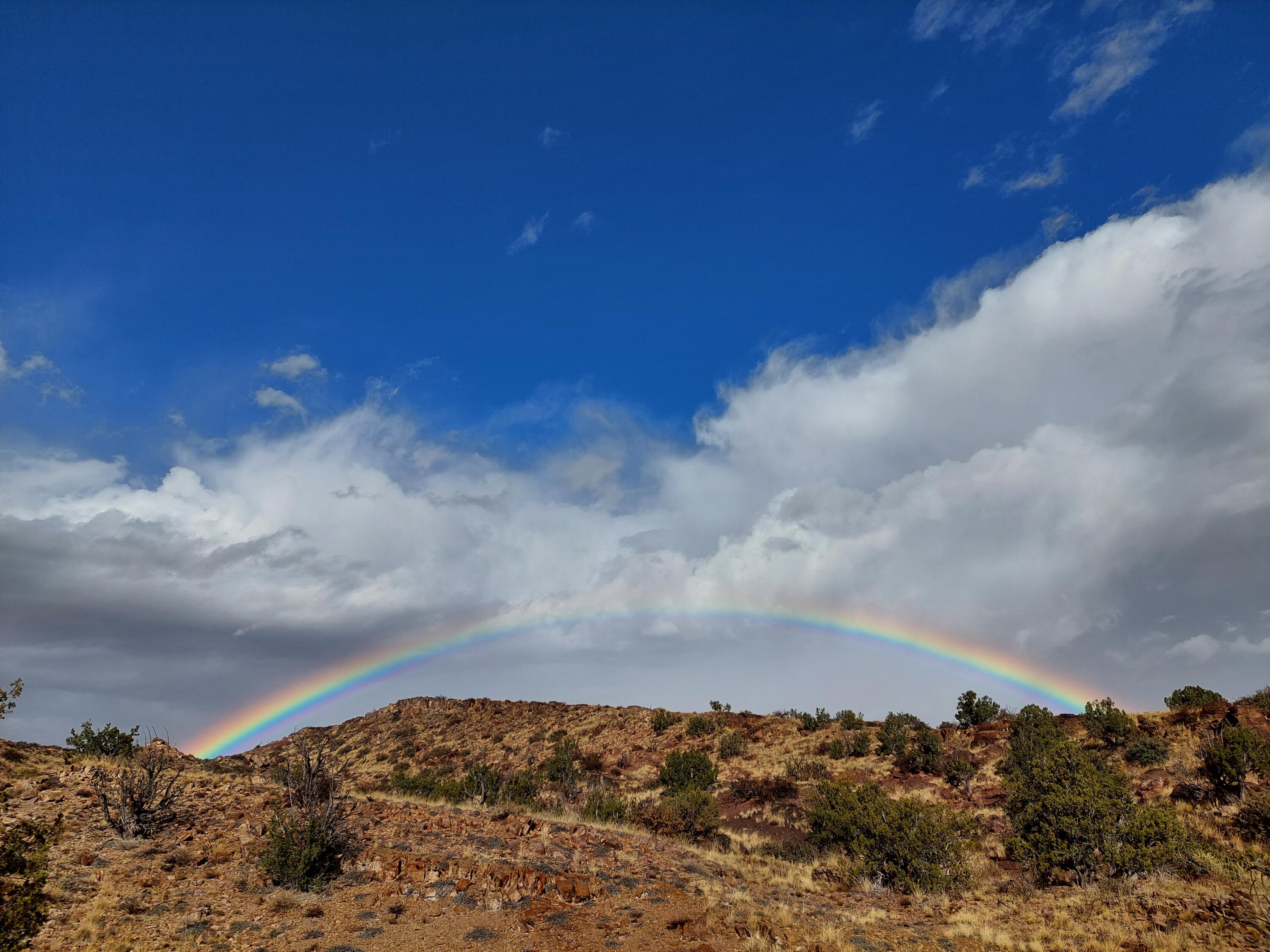 Lot 48 Santa Rita Ranches