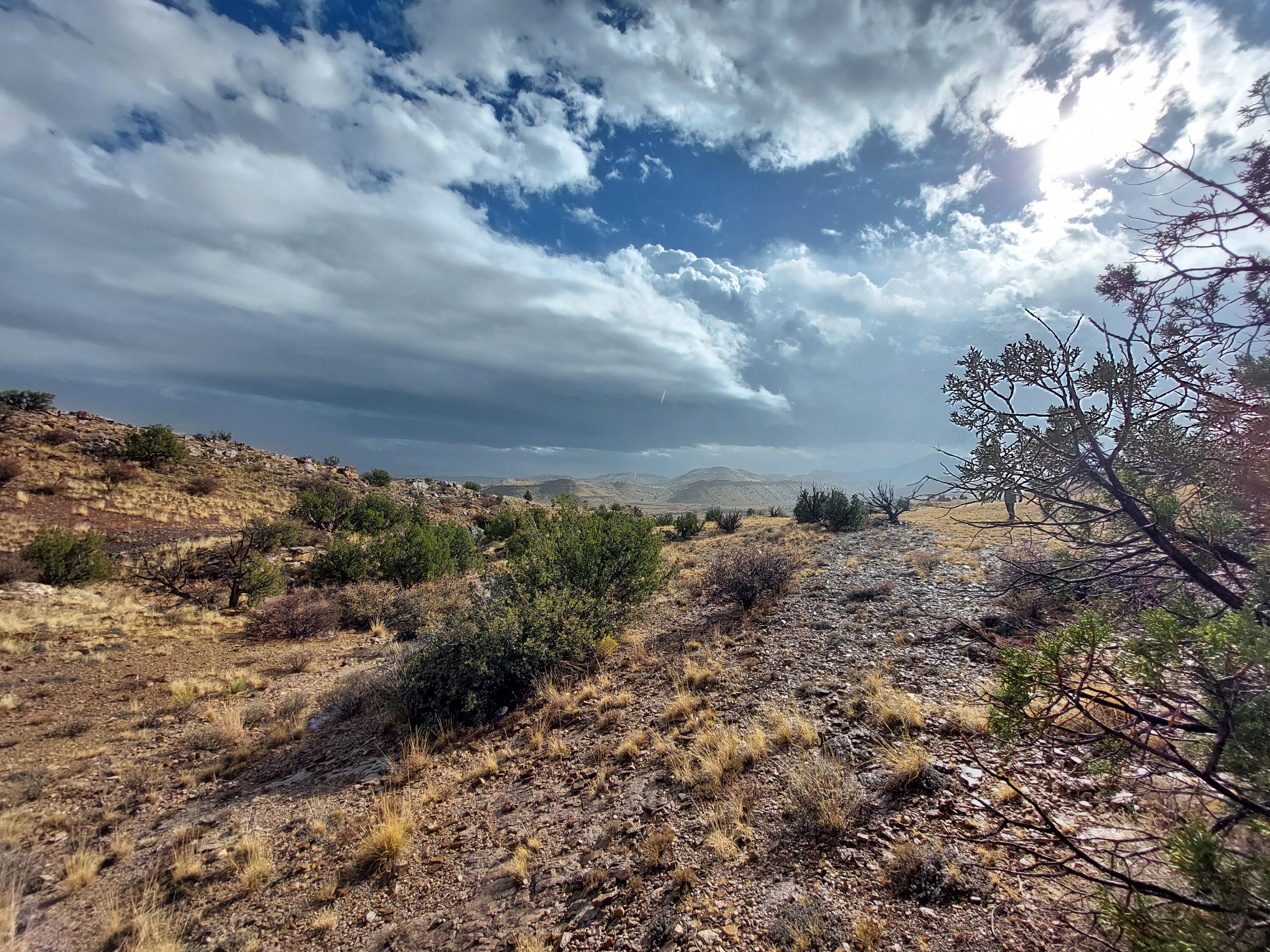 Lot 48 Santa Rita Ranches