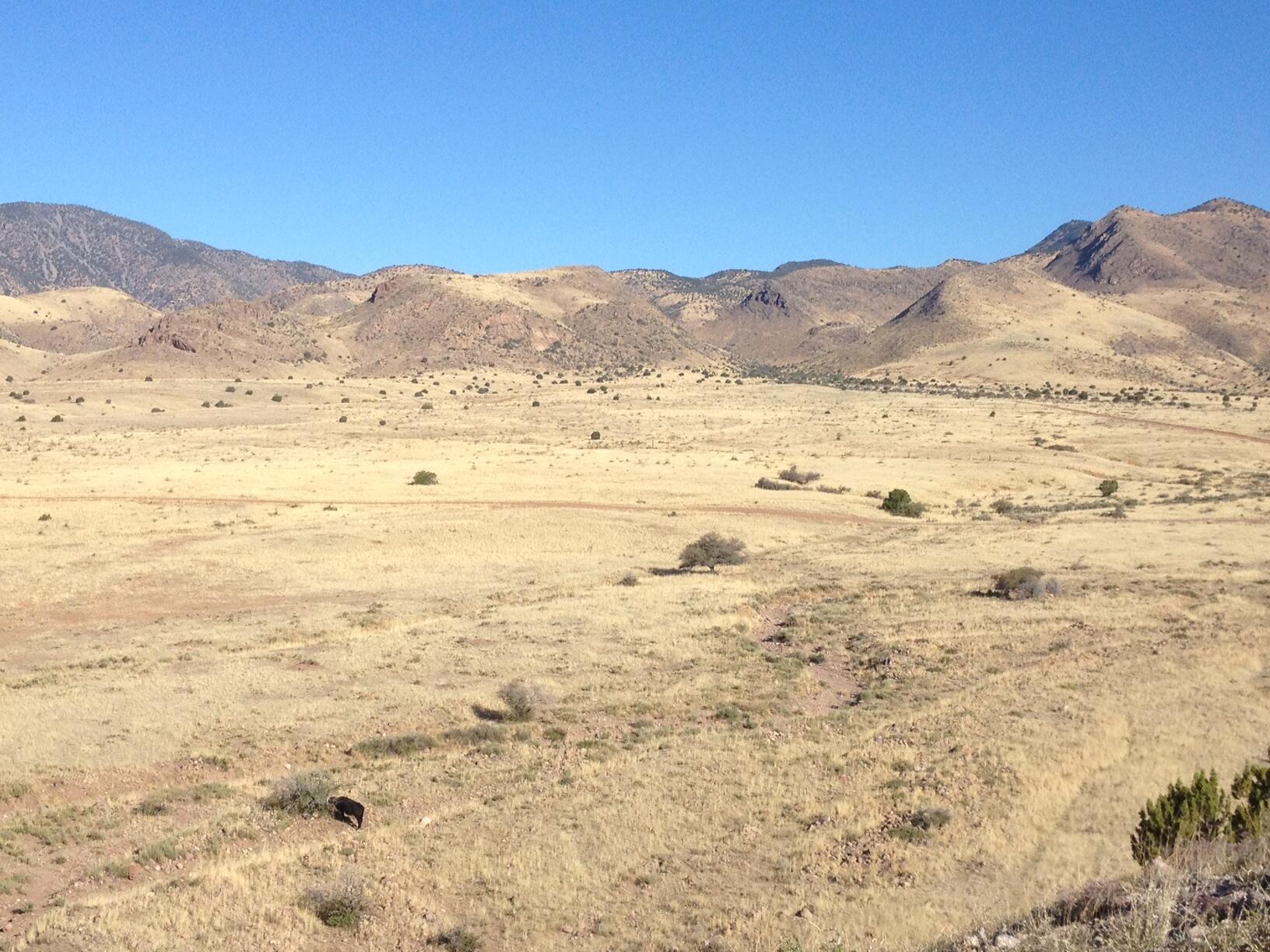 Lot 103 Rolling Hills