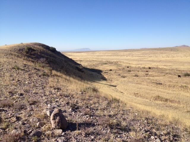 Lot 103 Rolling Hills