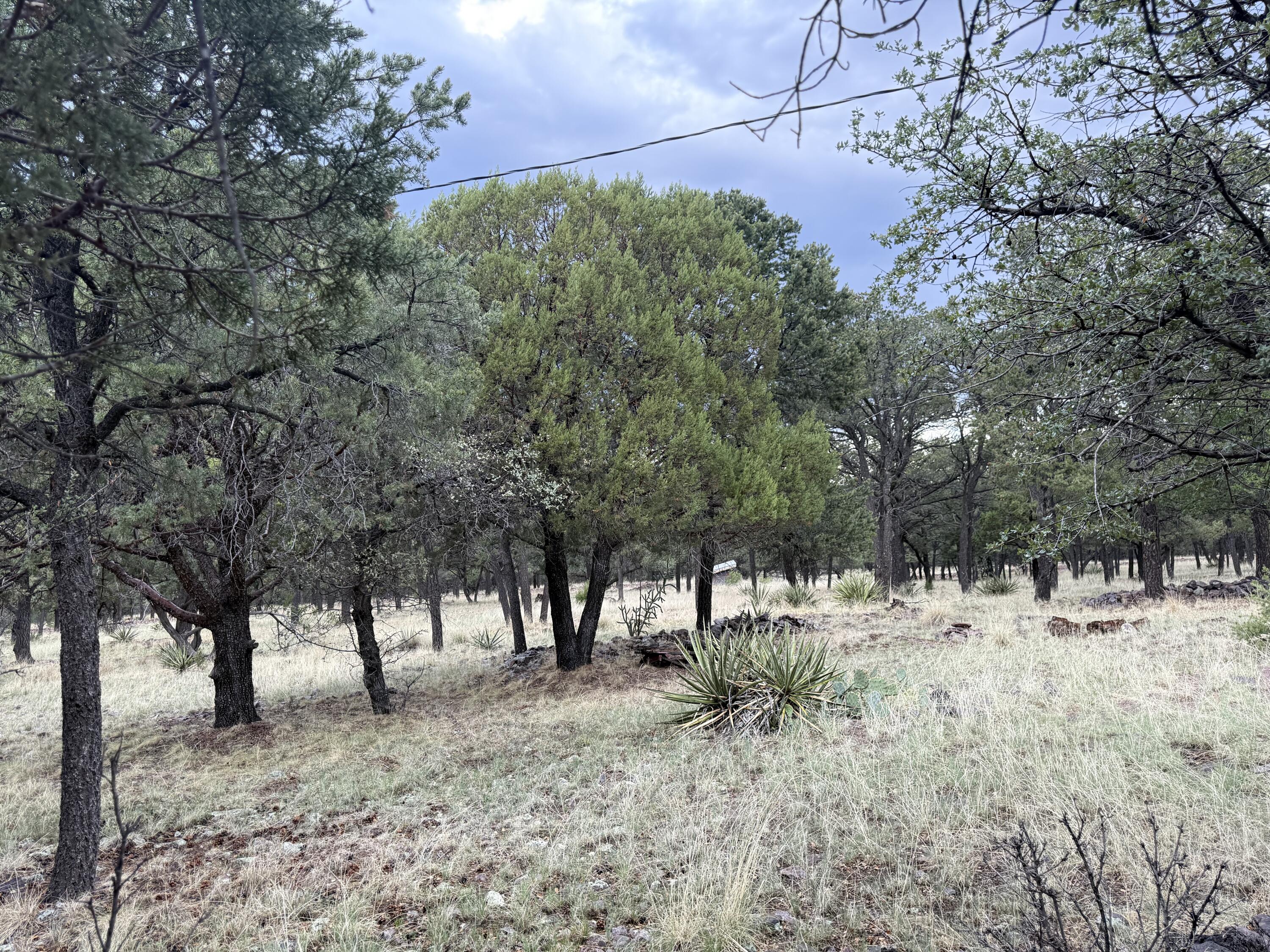 9 Cochise Drive