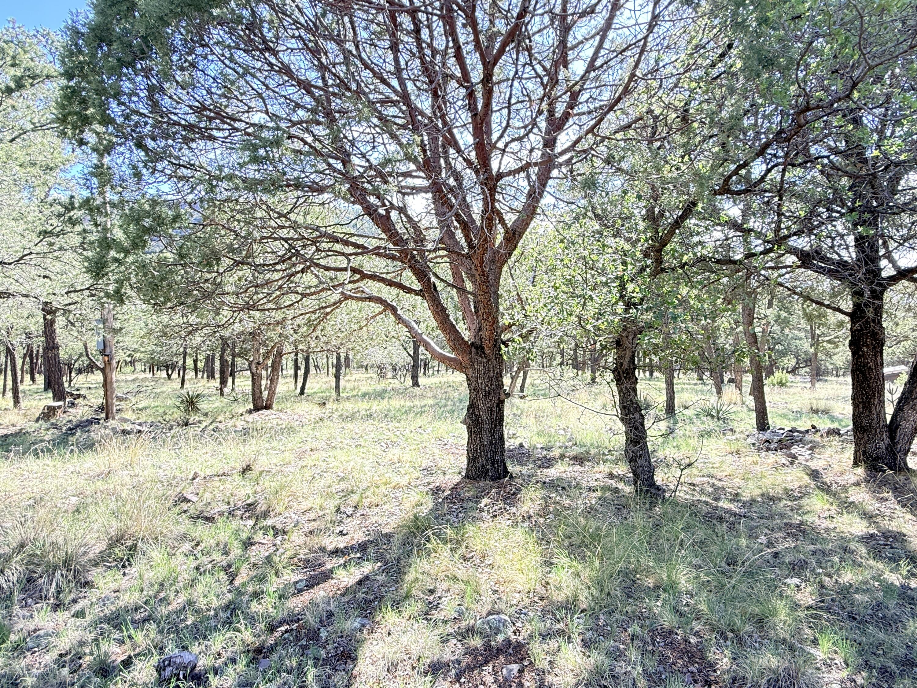 9 Cochise Drive