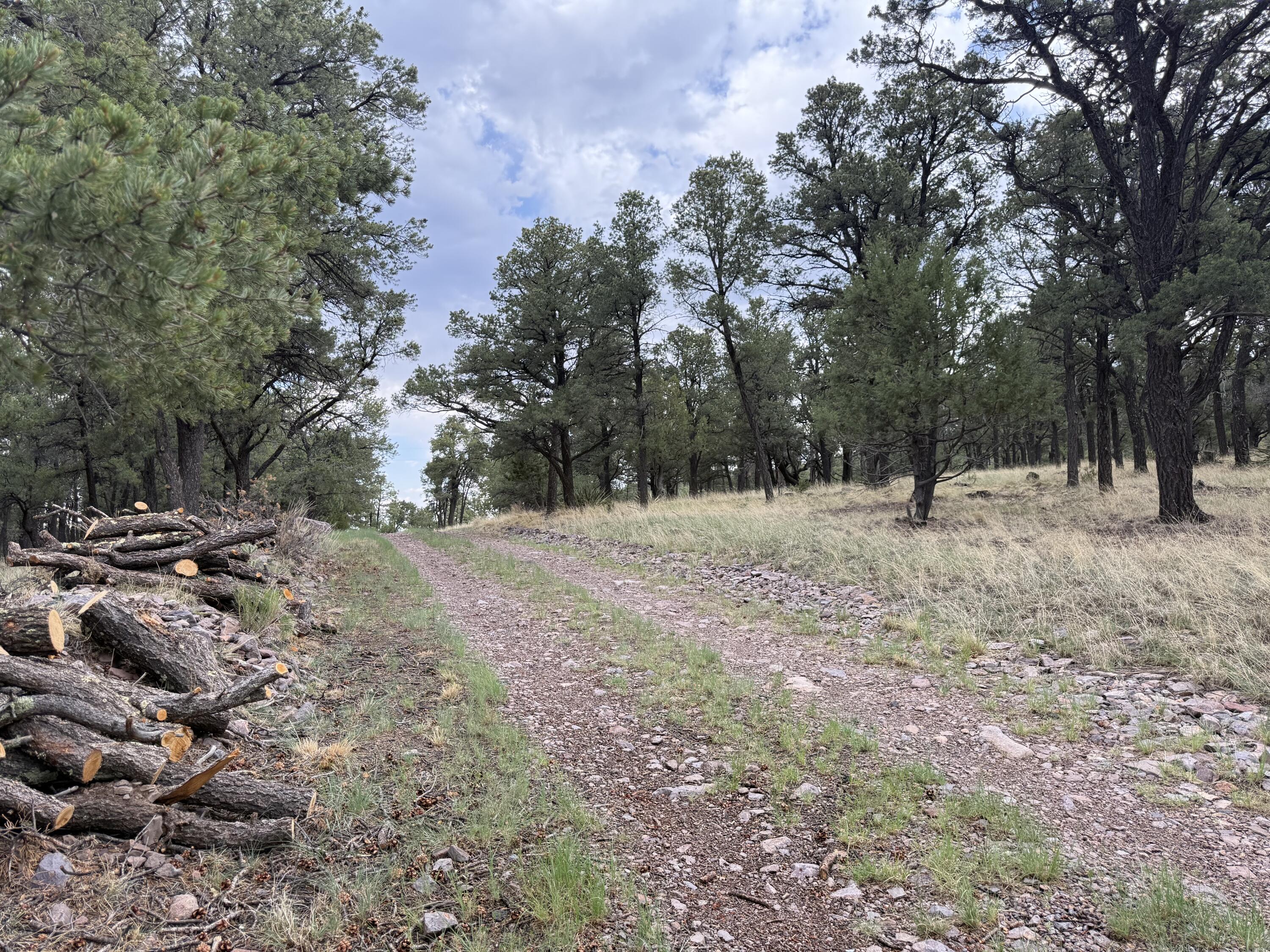 9 Cochise Drive