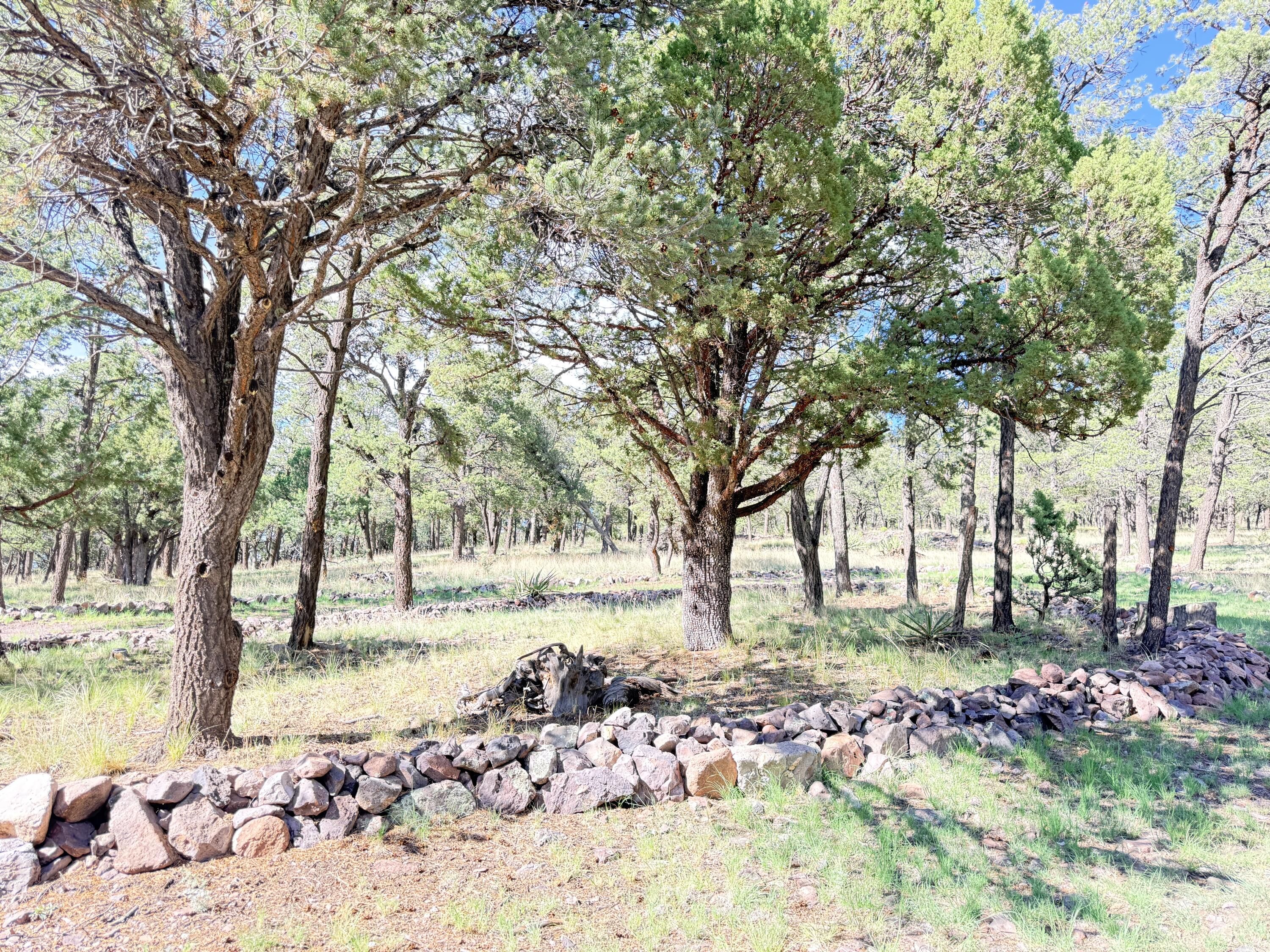 9 Cochise Drive