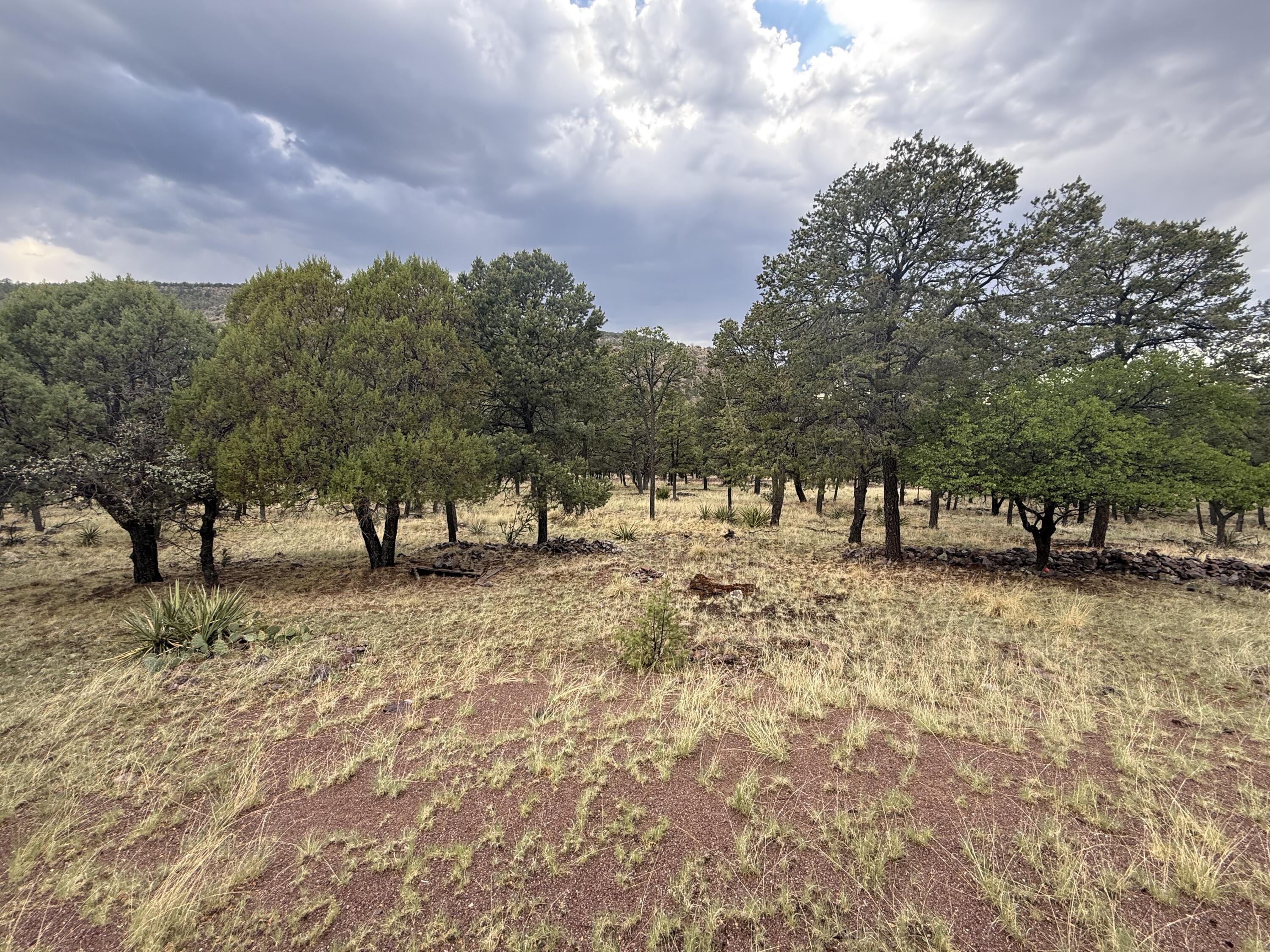 9 Cochise Drive