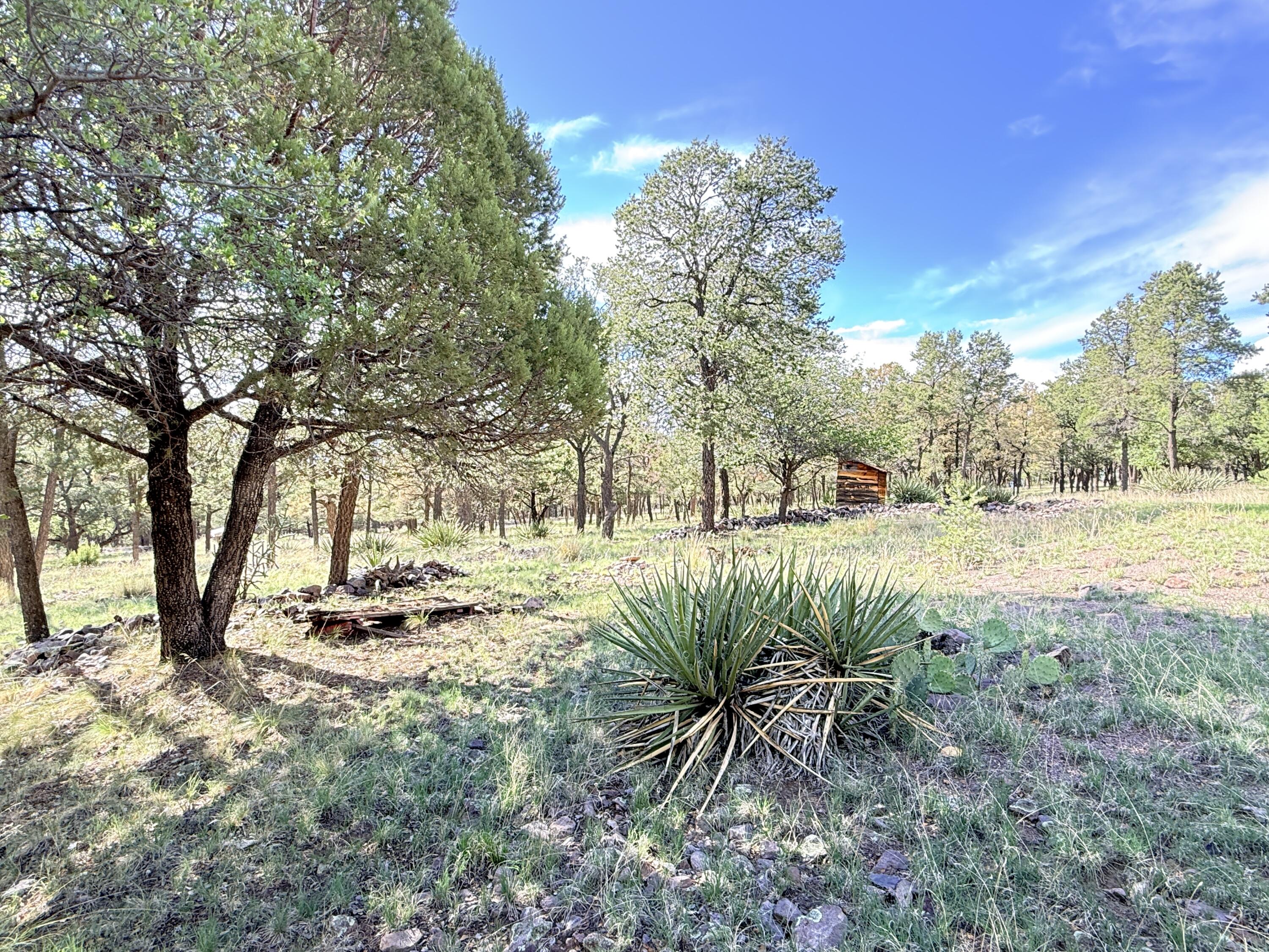 9 Cochise Drive