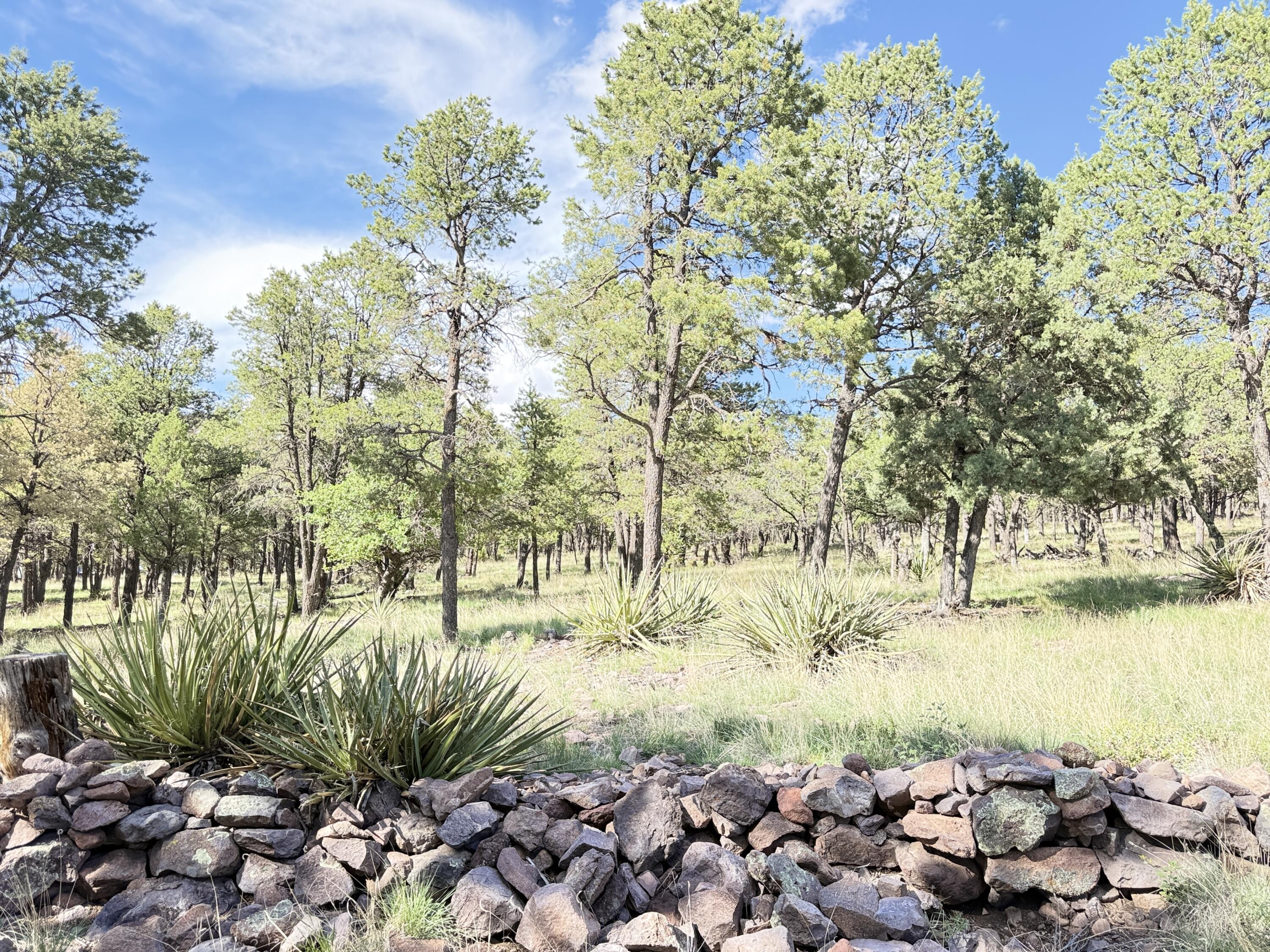 9 Cochise Drive