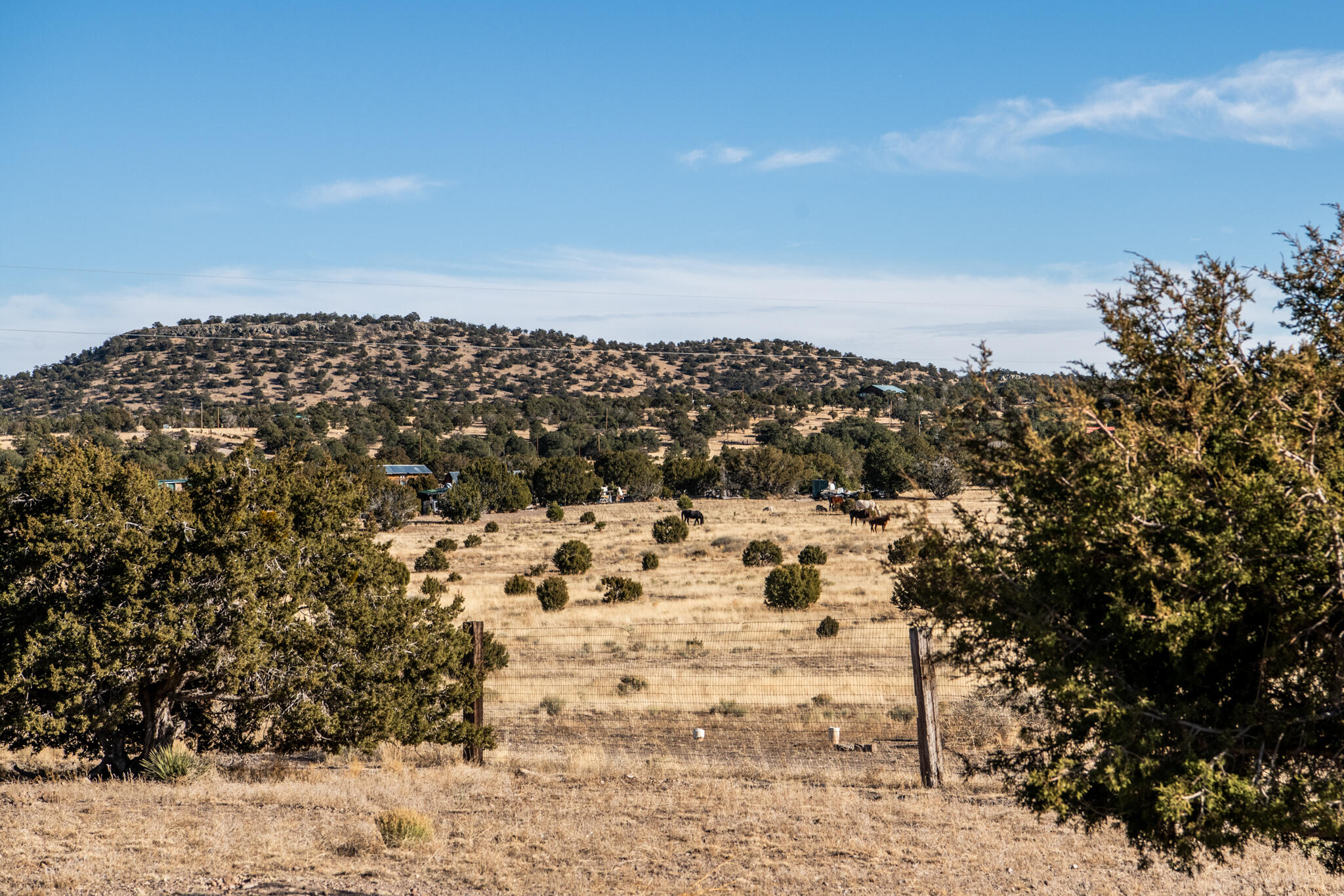 250 Frontier Trail