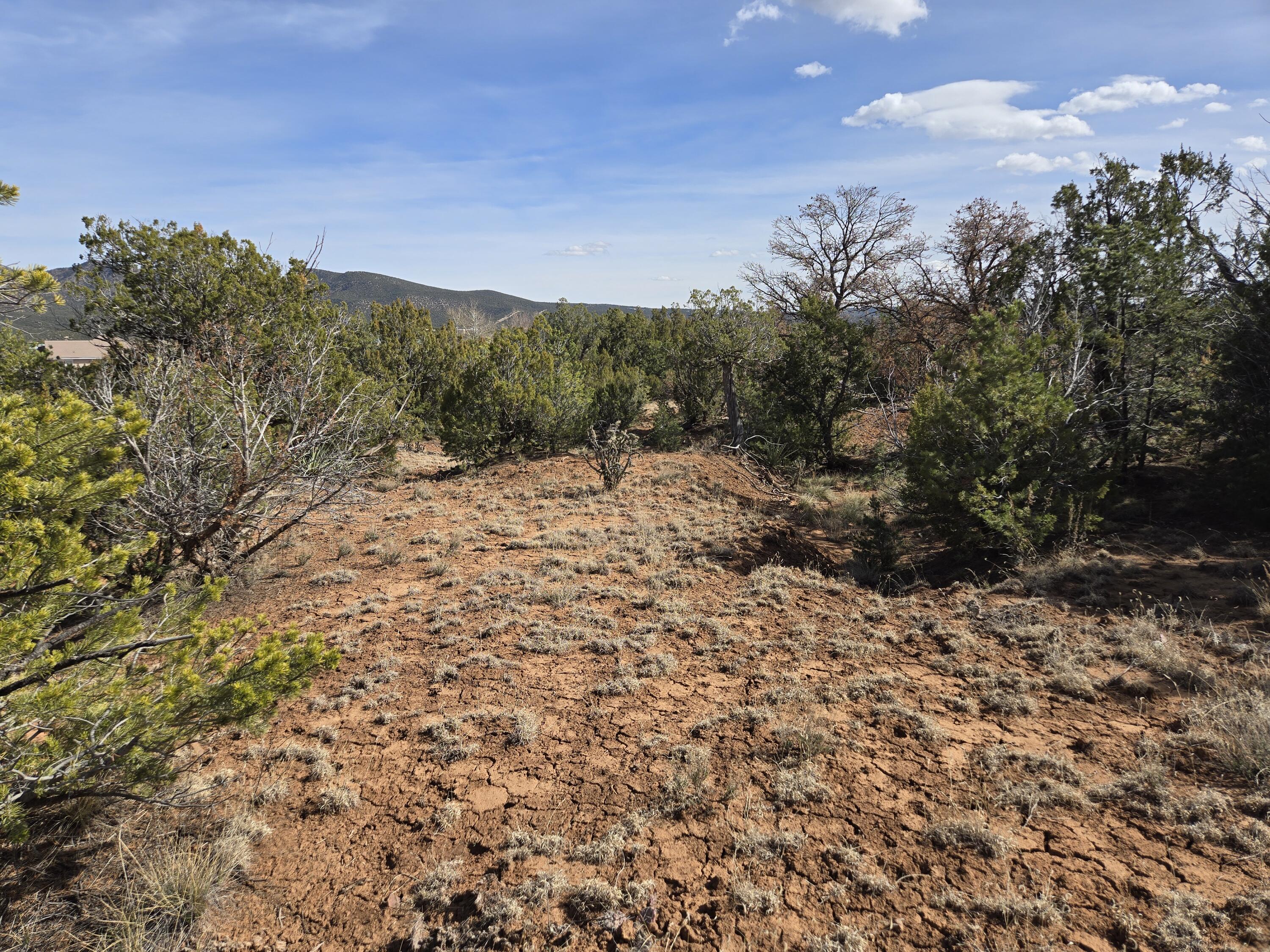125 Kiva Place 246