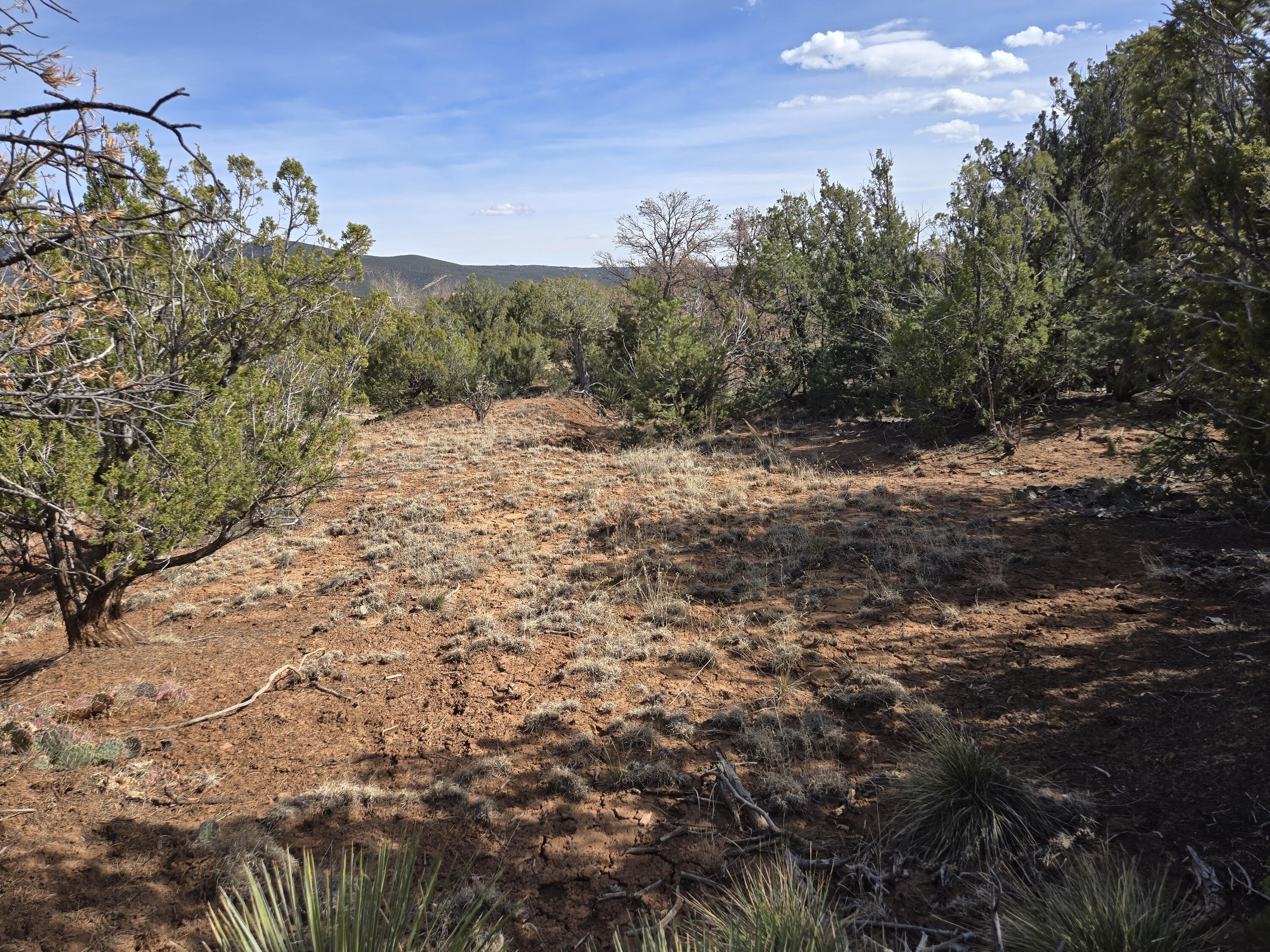 125 Kiva Place 246