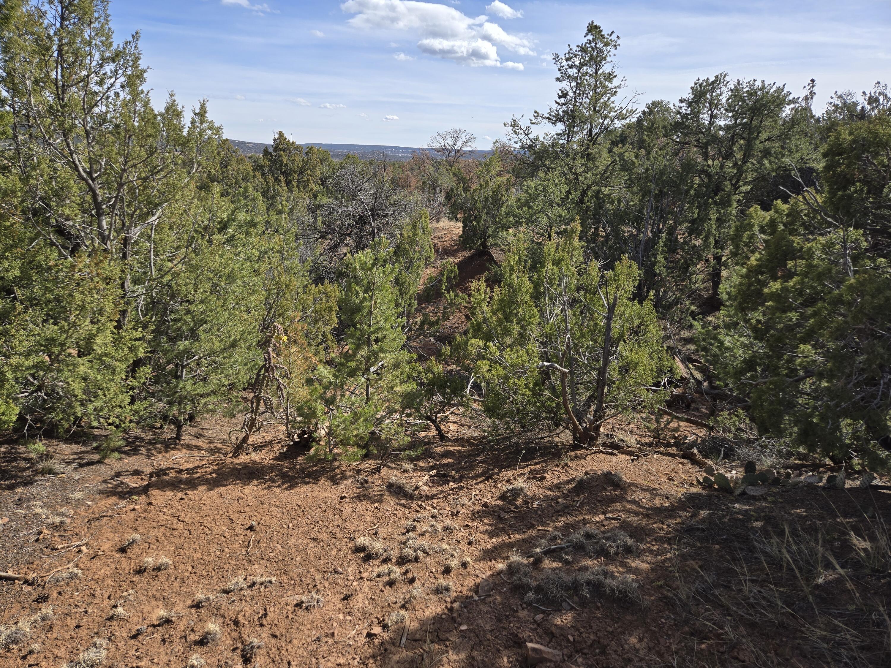 125 Kiva Place 246