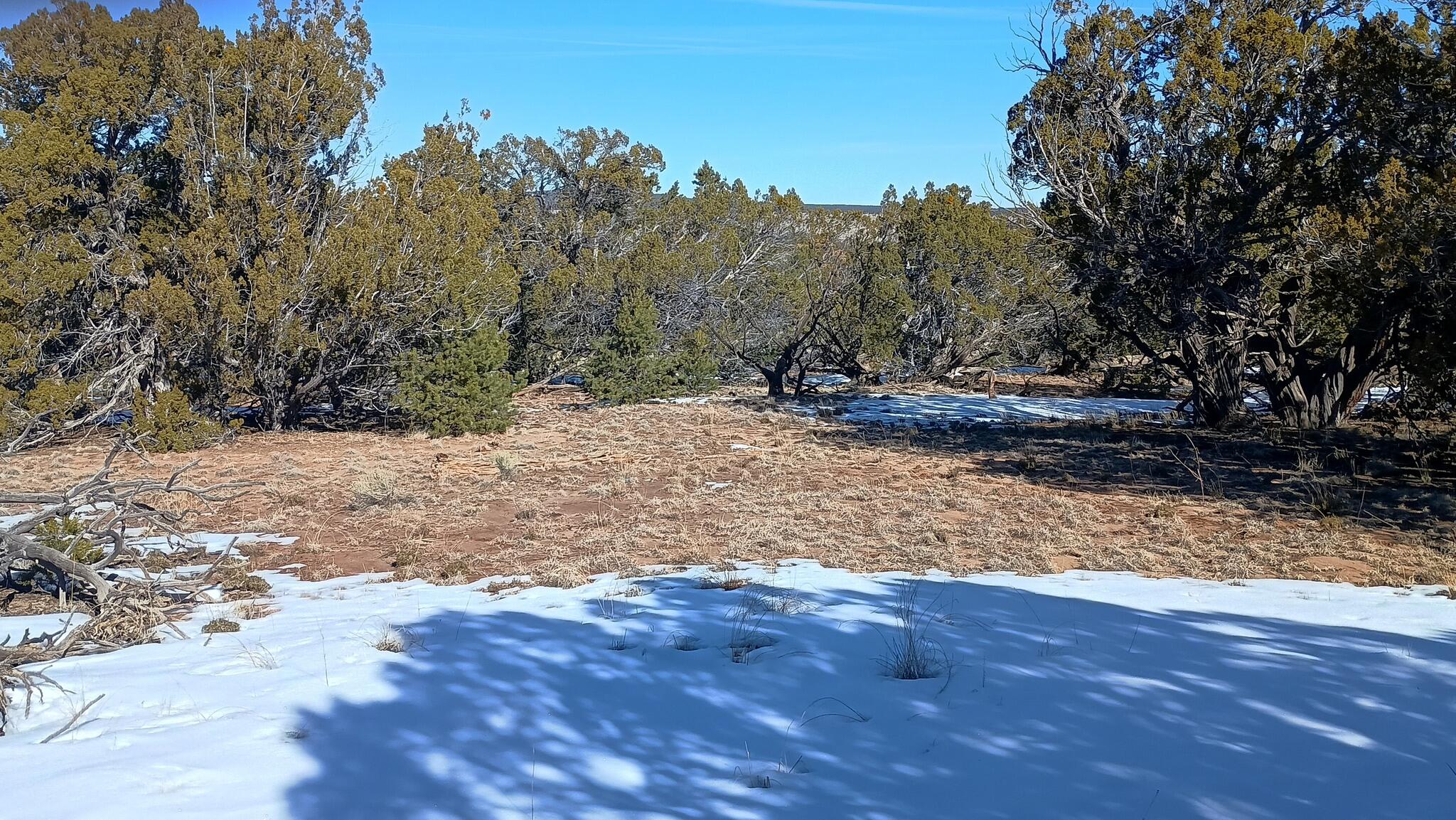 Deer Run Trail