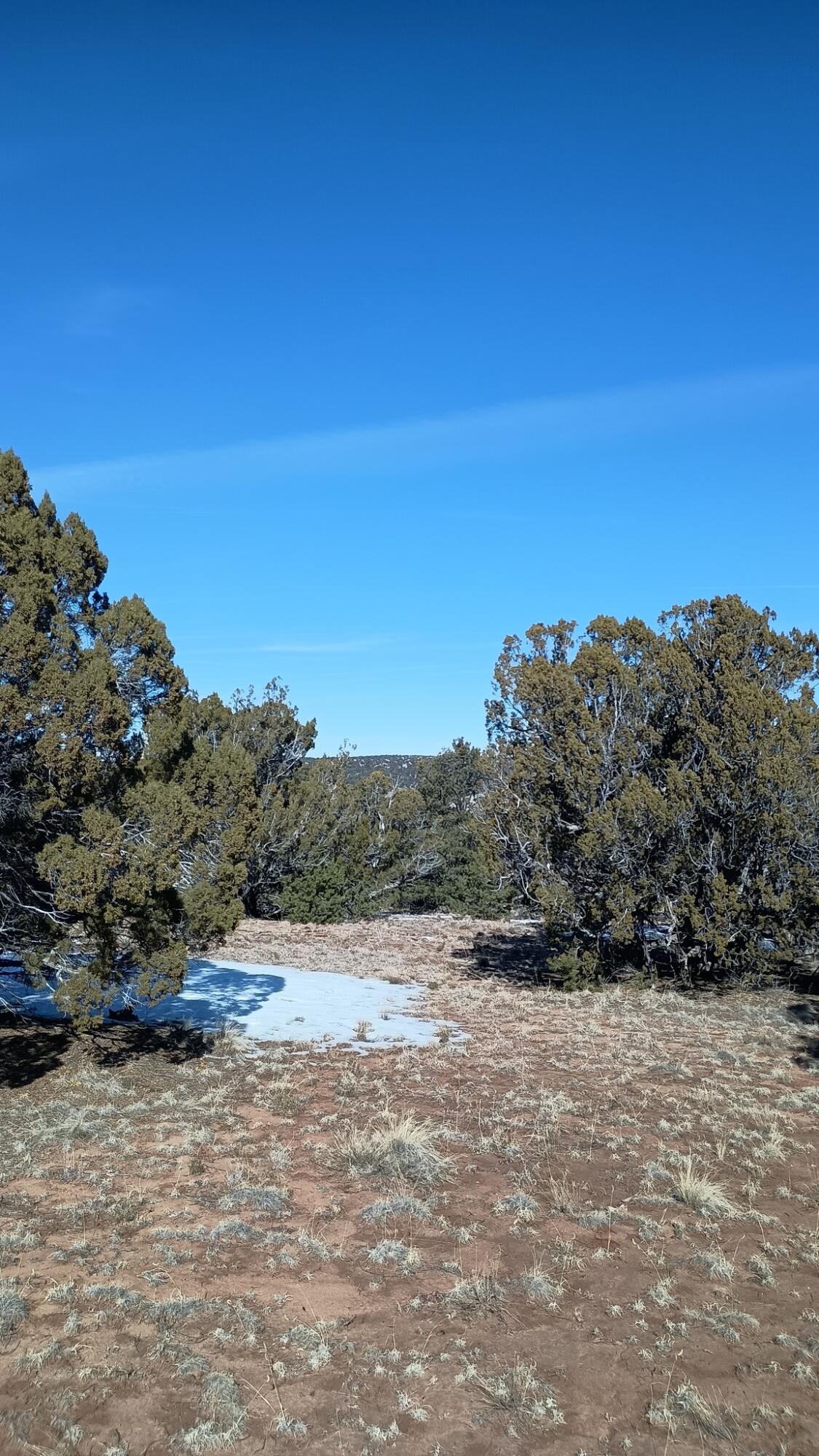 Deer Run Trail