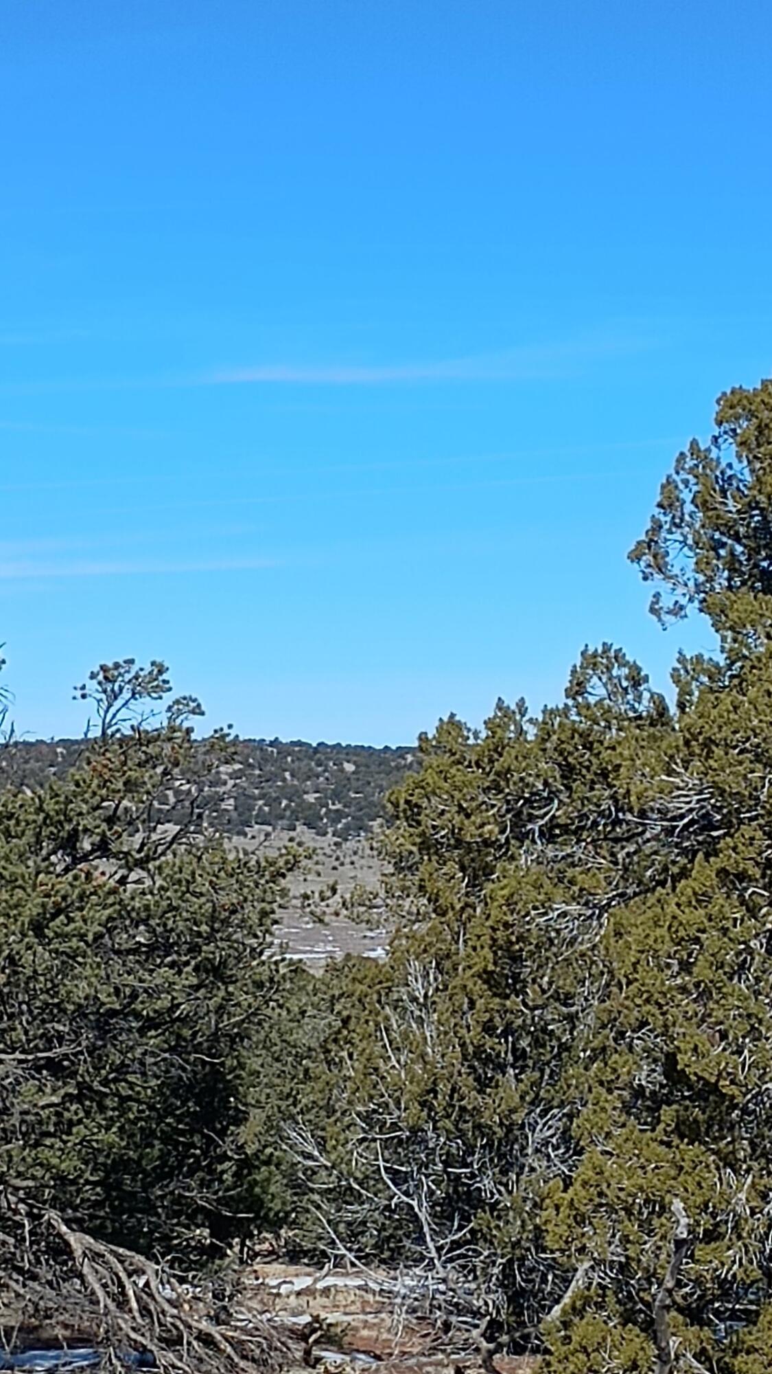 Deer Run Trail