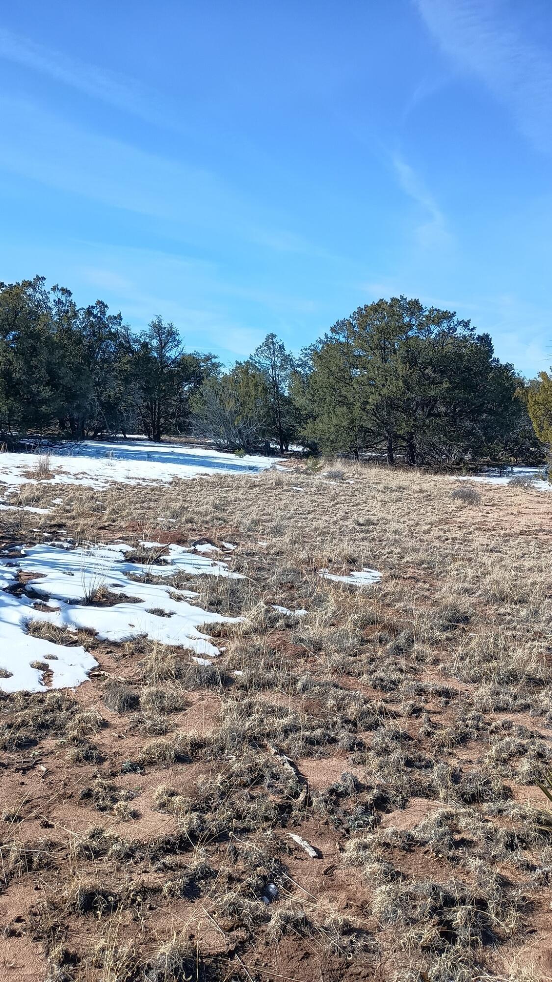 Deer Run Trail