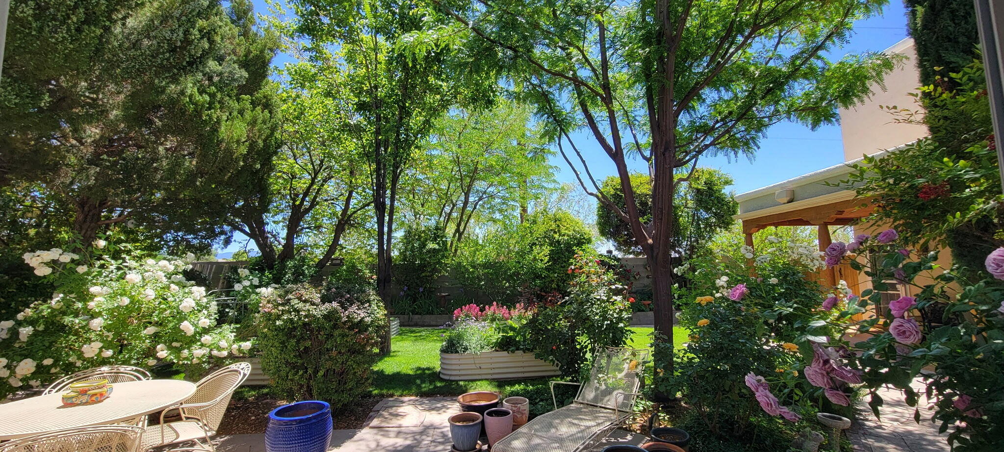 5100 Cordoniz Street NW