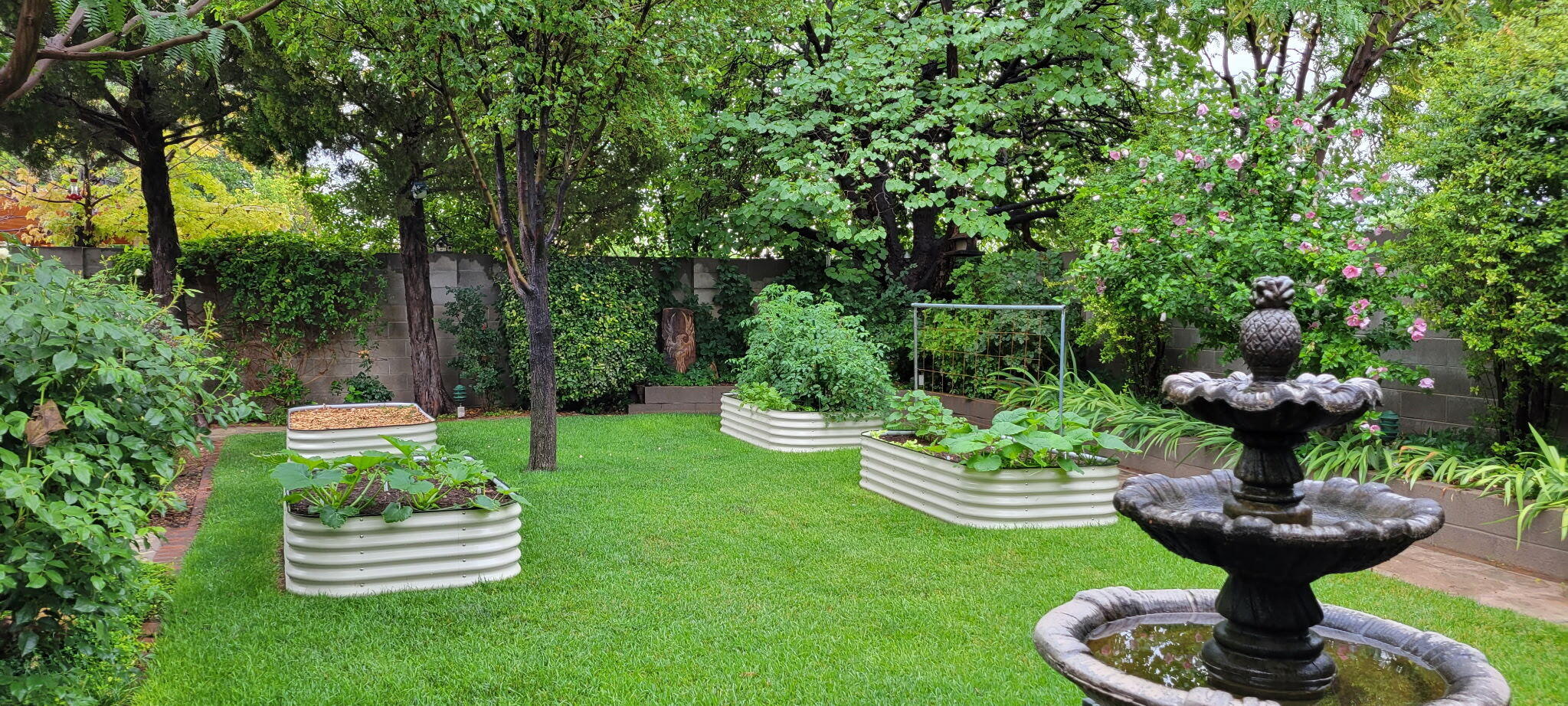 5100 Cordoniz Street NW