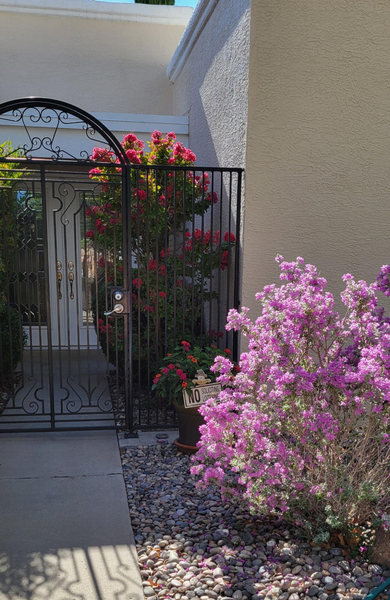 5100 Cordoniz Street NW